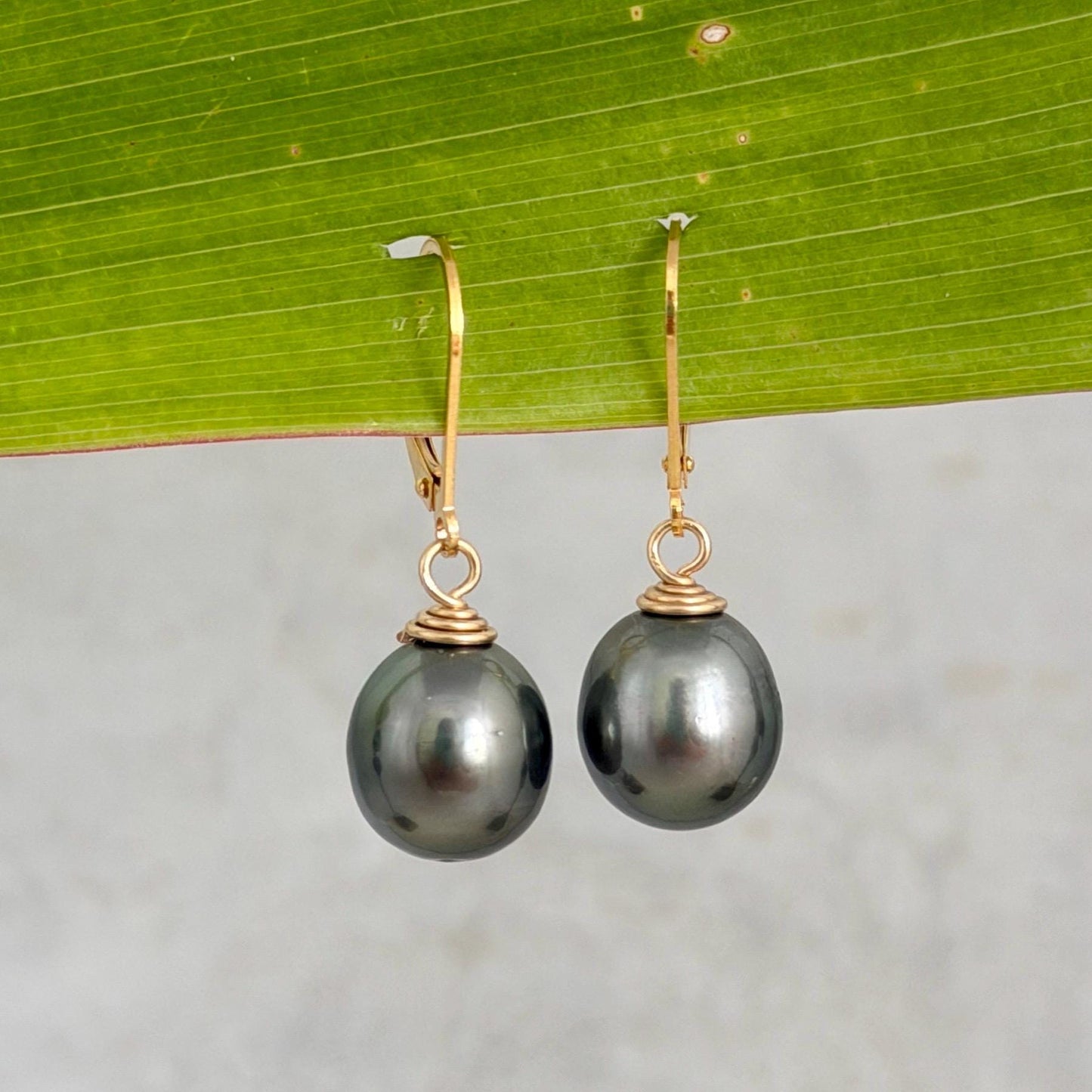 Tahitian Pearl Leverback Earrings • Gold filled dangle jewelry