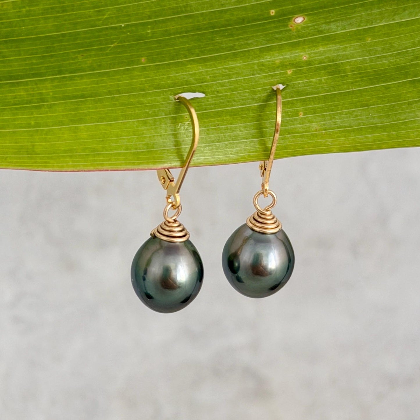 Tahitian Pearl Leverback Earrings • Gold filled dangle jewelry • Peacock Green