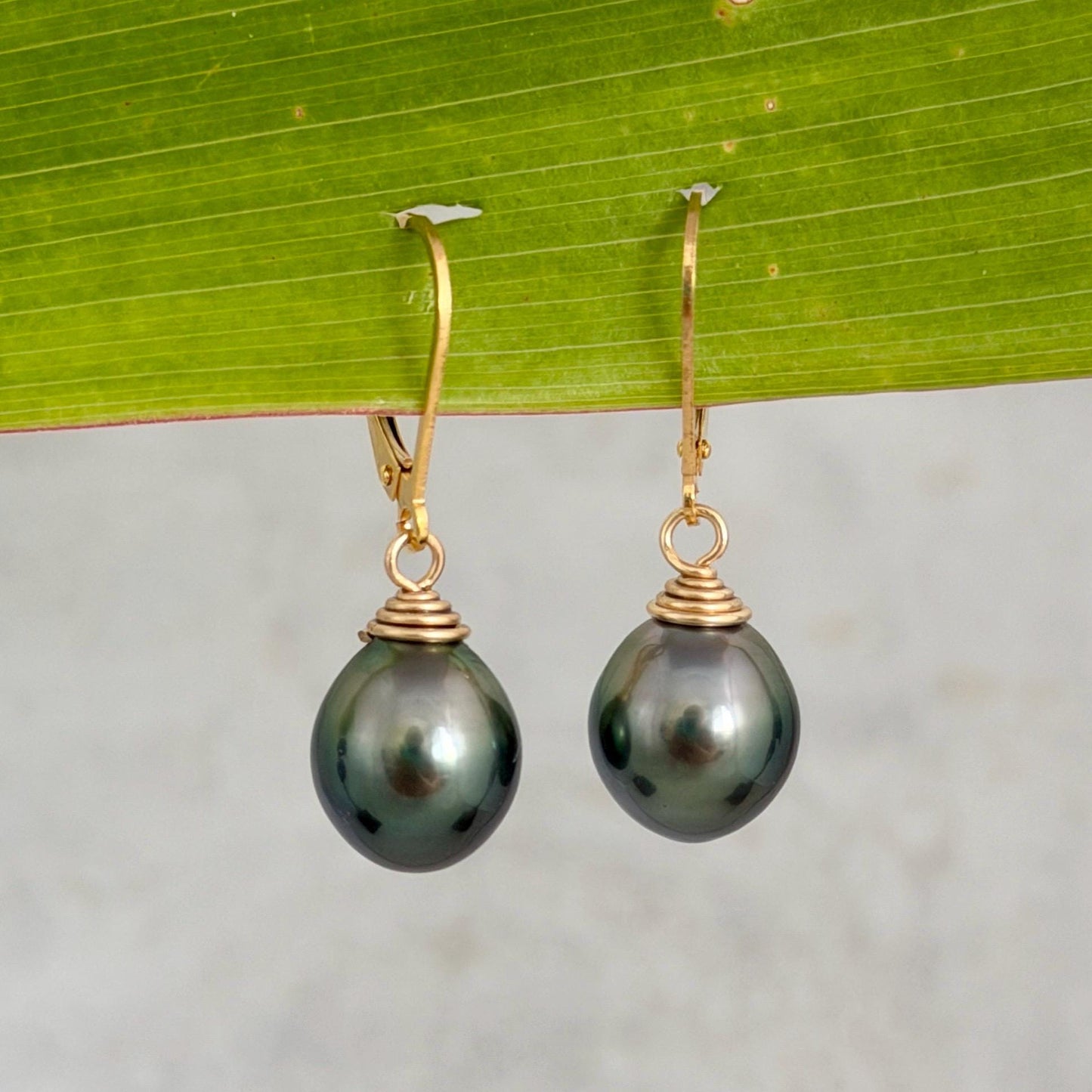 Tahitian Pearl Leverback Earrings • Gold filled dangle jewelry • Peacock Green