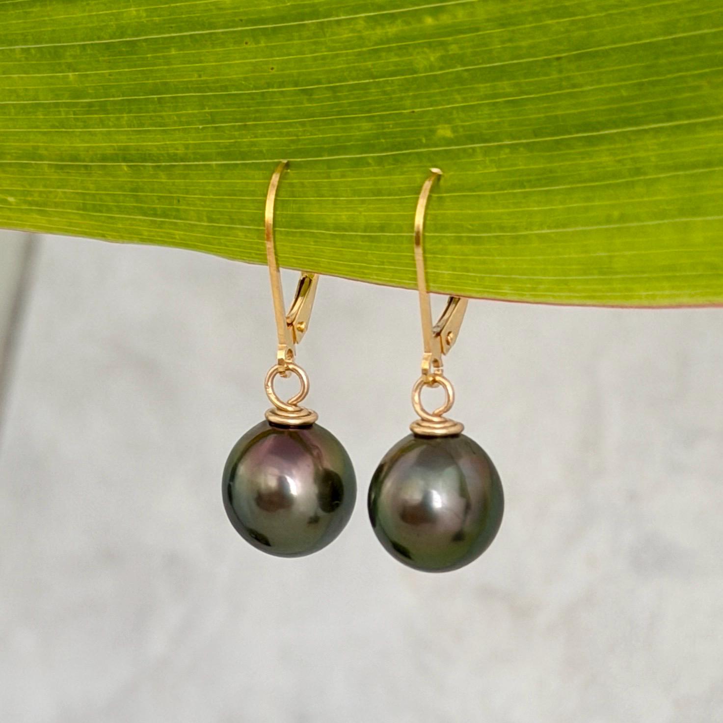 Tahitian Pearl Leverback Earrings • Gold filled dangle jewelry • Peacock Pink and Green