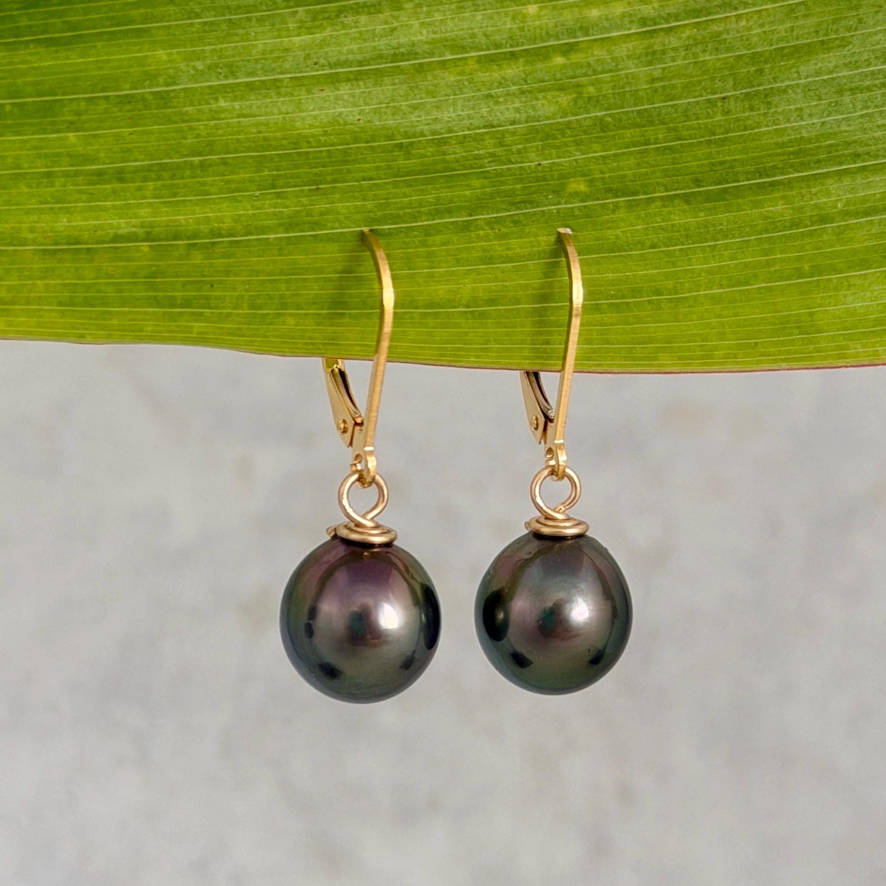 Tahitian Pearl Leverback Earrings • Gold filled dangle jewelry • Peacock Pink and Green