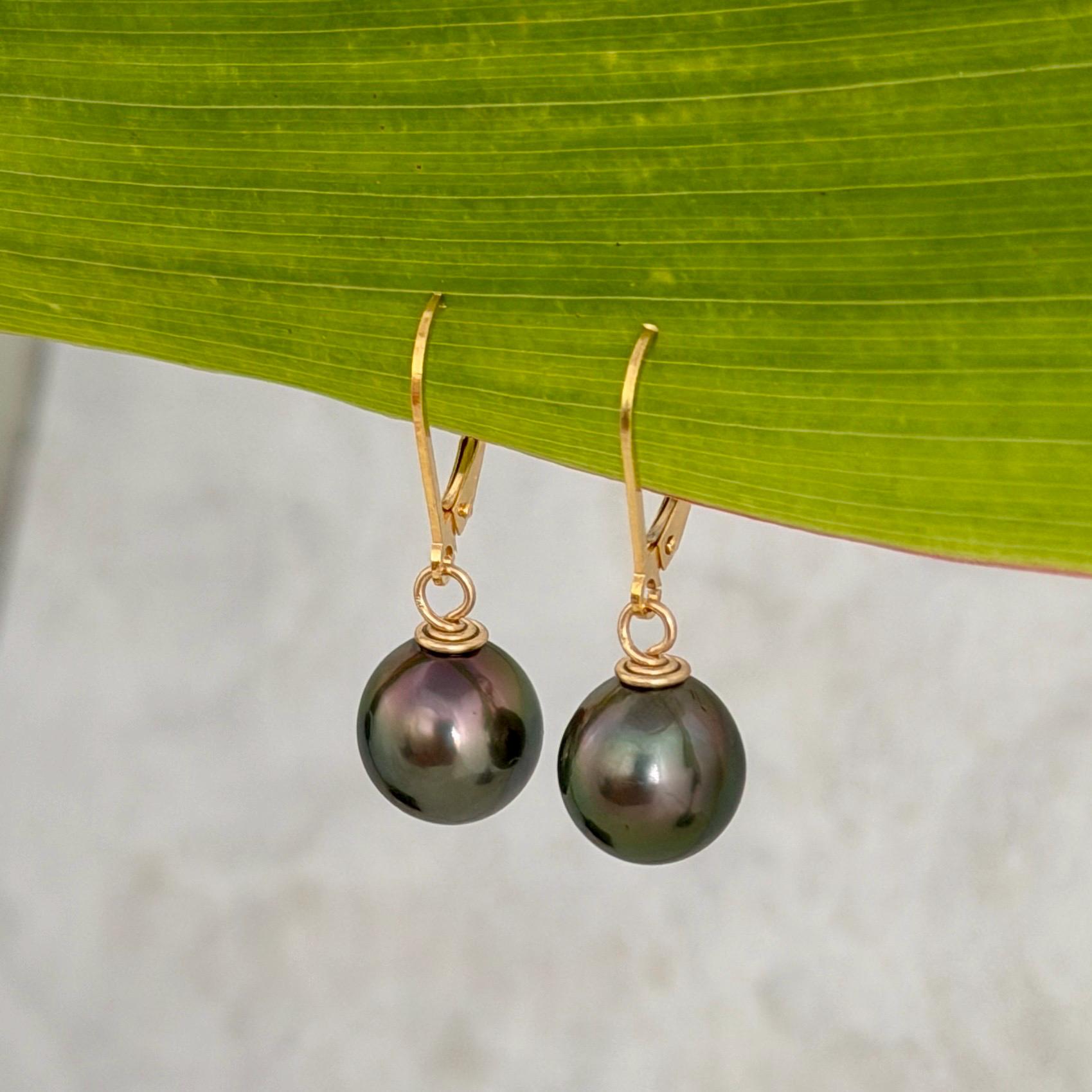 Tahitian Pearl Leverback Earrings • Gold filled dangle jewelry • Peacock Pink and Green