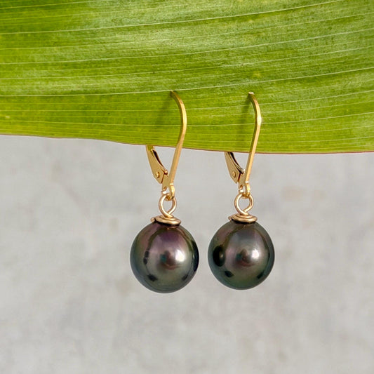 Gold filled leverback with Tahitian pearl