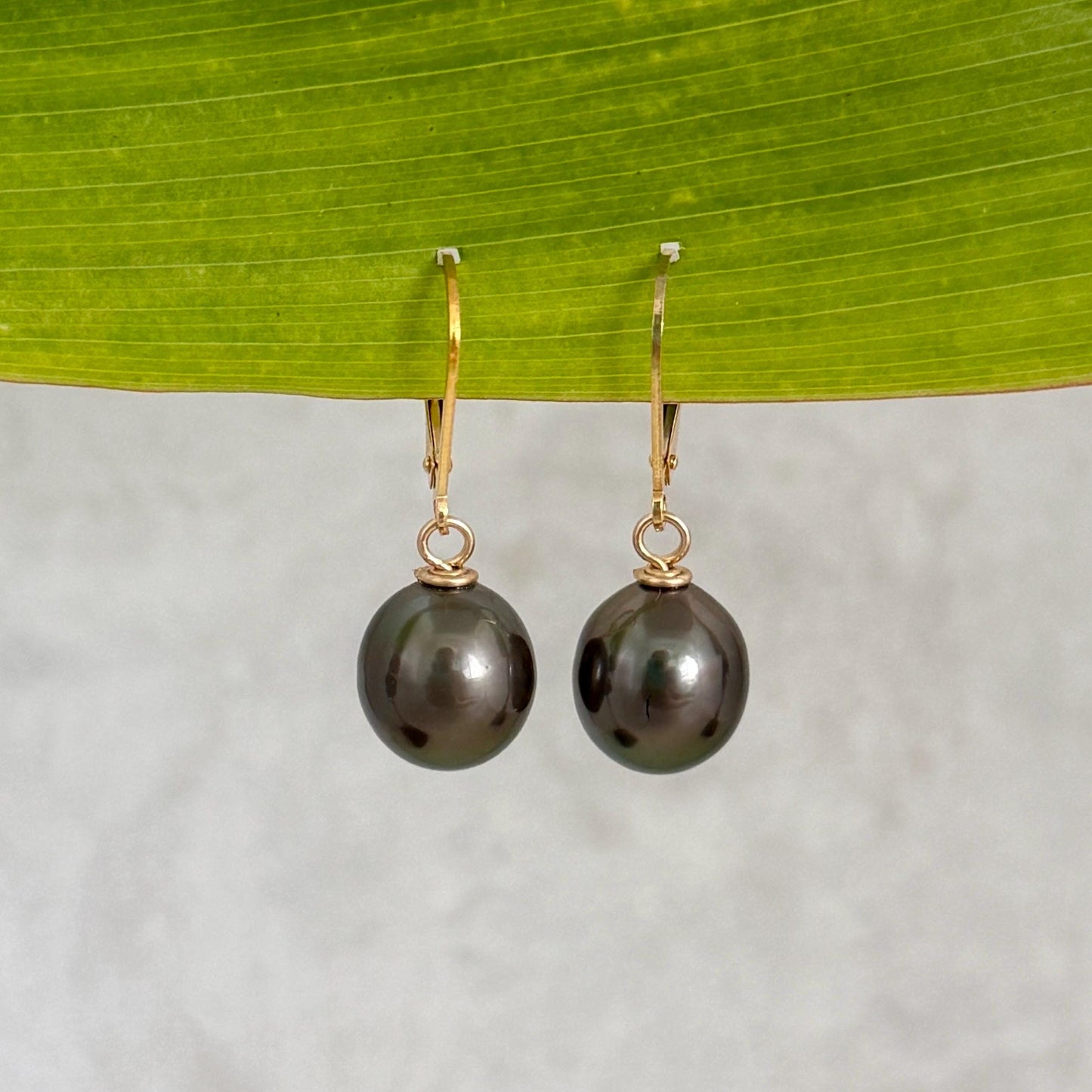 Tahitian Pearl Leverback Earrings • Gold filled dangle jewelry • Dark pink