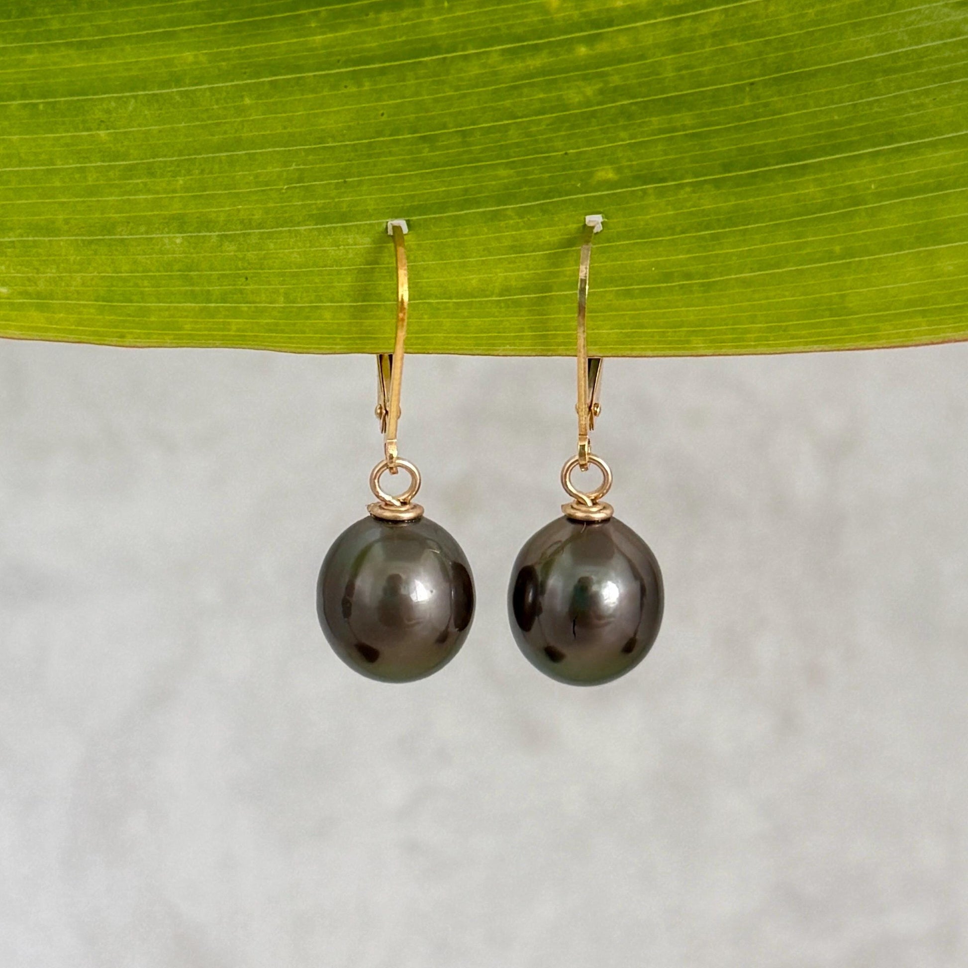 Tahitian Pearl Leverback Earrings • Gold filled dangle jewelry • Dark pink
