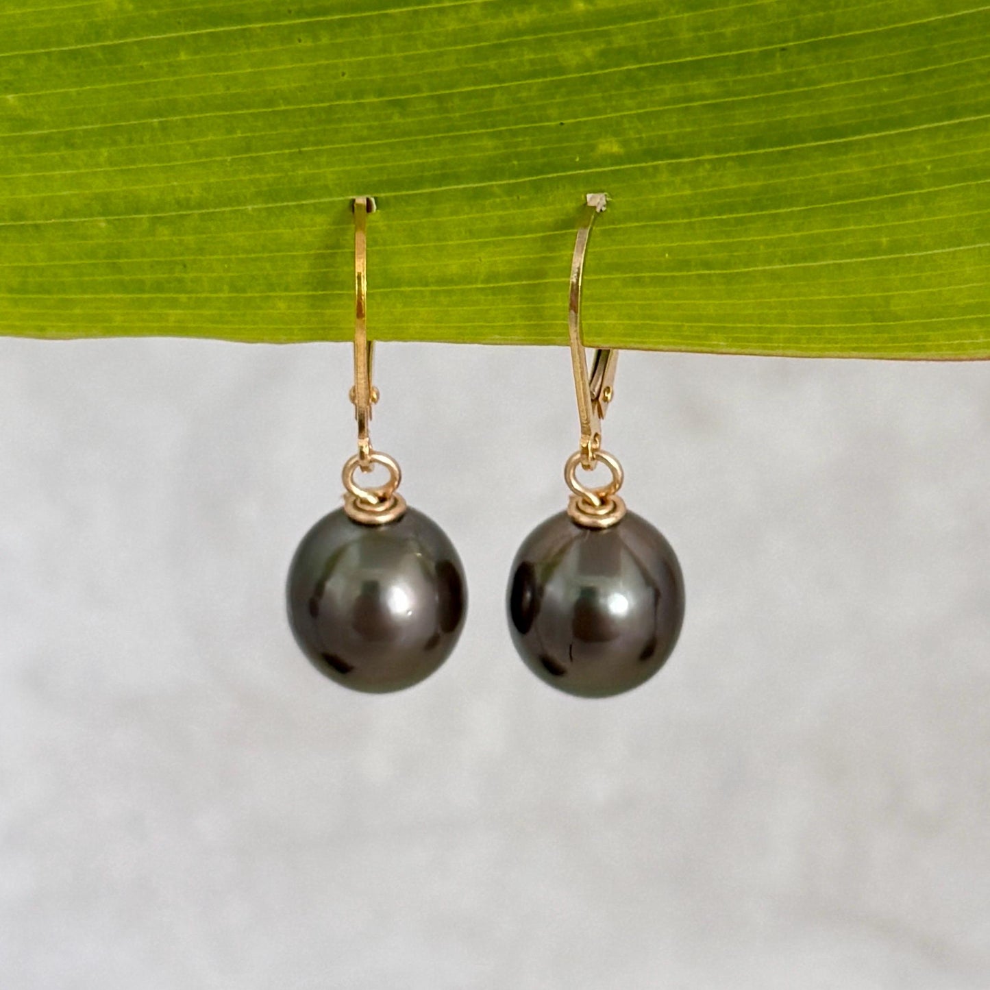 Tahitian Pearl Leverback Earrings • Gold filled dangle jewelry • Dark pink