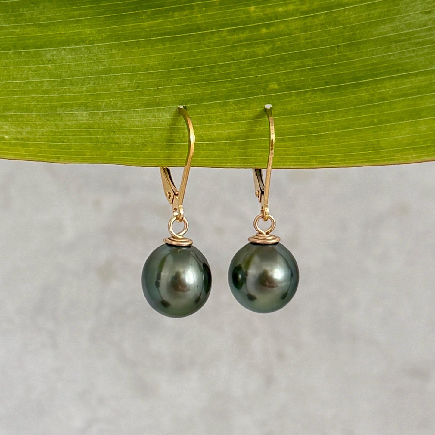 Tahitian Pearl Leverback Earrings • Gold filled dangle jewelry • Green color