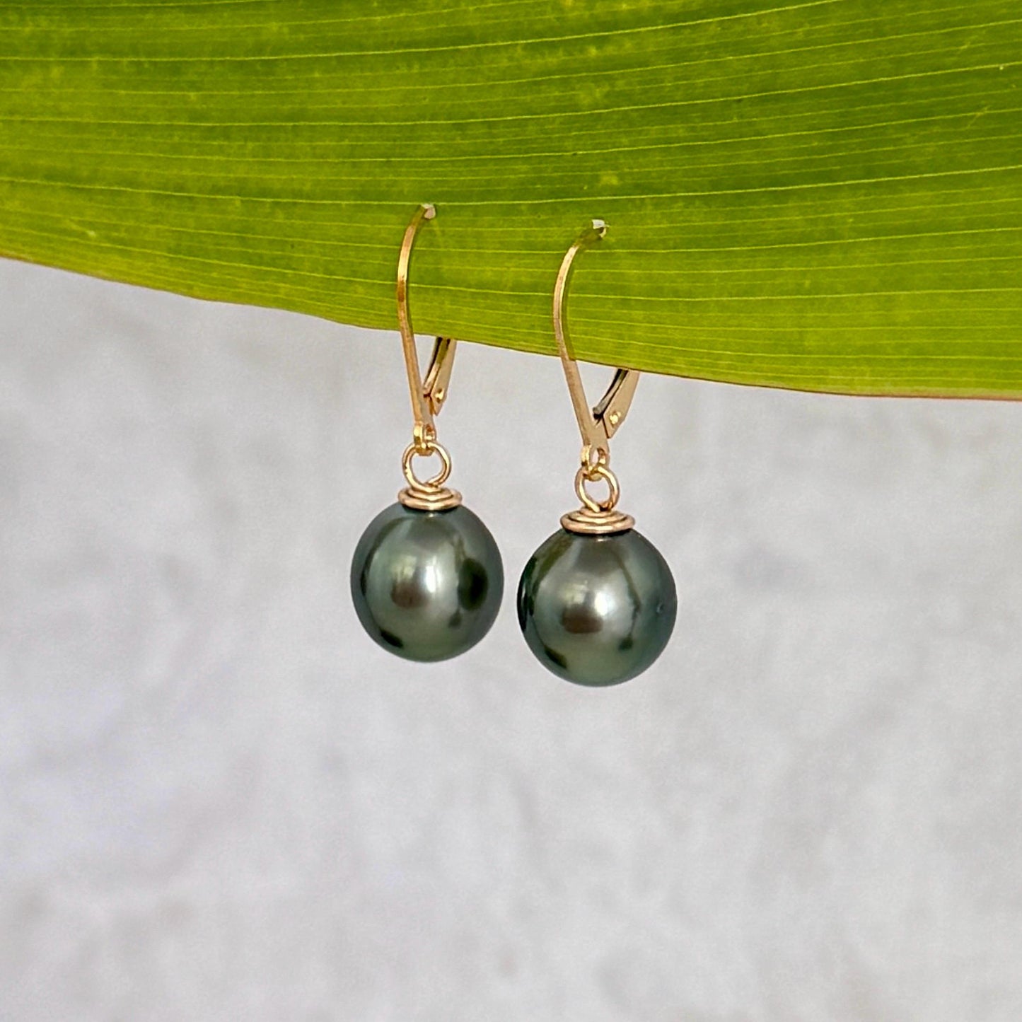 Tahitian Pearl Leverback Earrings • Gold filled dangle jewelry • Green color