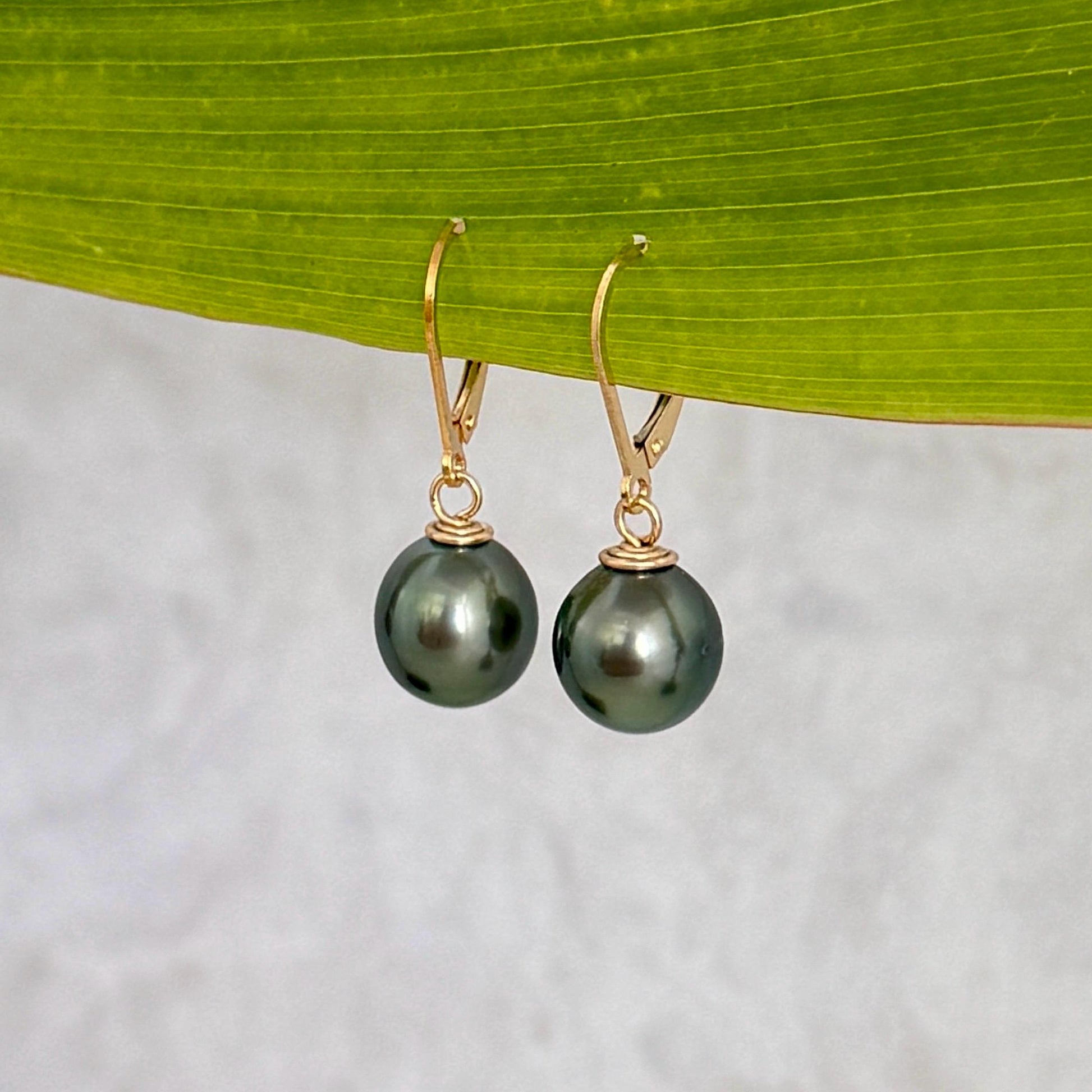 Tahitian Pearl Leverback Earrings • Gold filled dangle jewelry • Green color