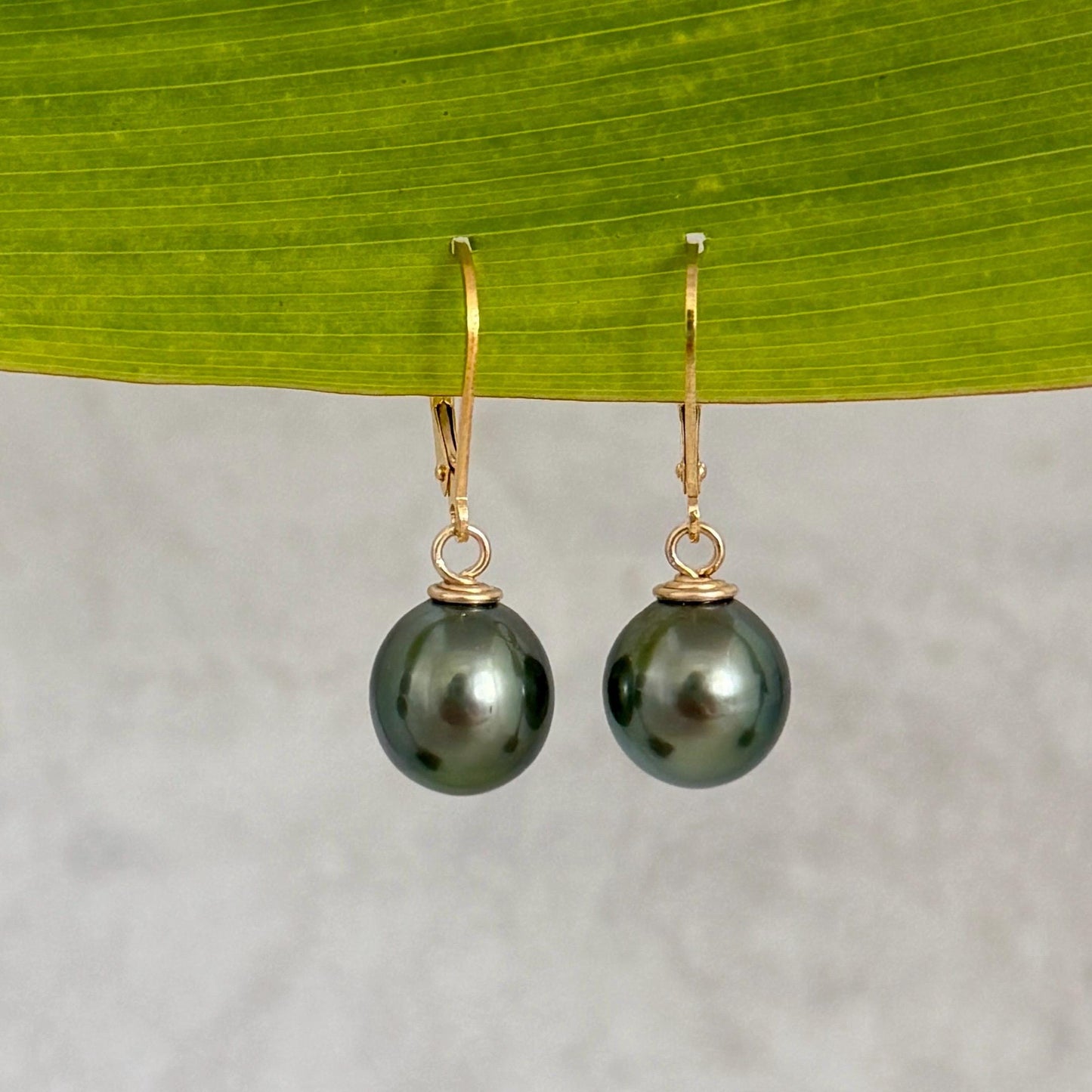 Tahitian Pearl Leverback Earrings • Gold filled dangle jewelry • Green color
