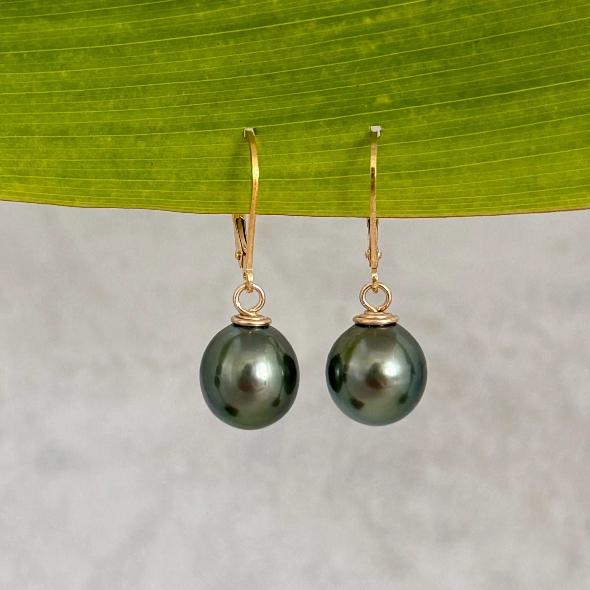 Tahitian Pearl Leverback Earrings • Gold filled dangle jewelry • Green color