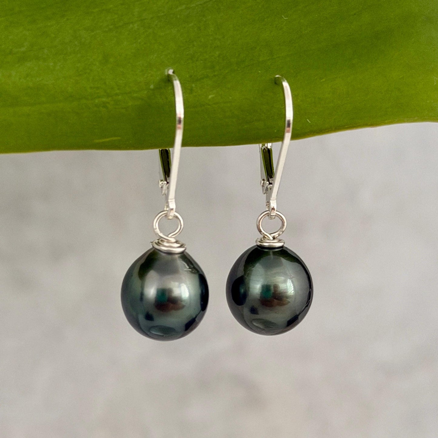 Tahitian Pearl Leverback Earrings • short drop earrings • dark Blue
