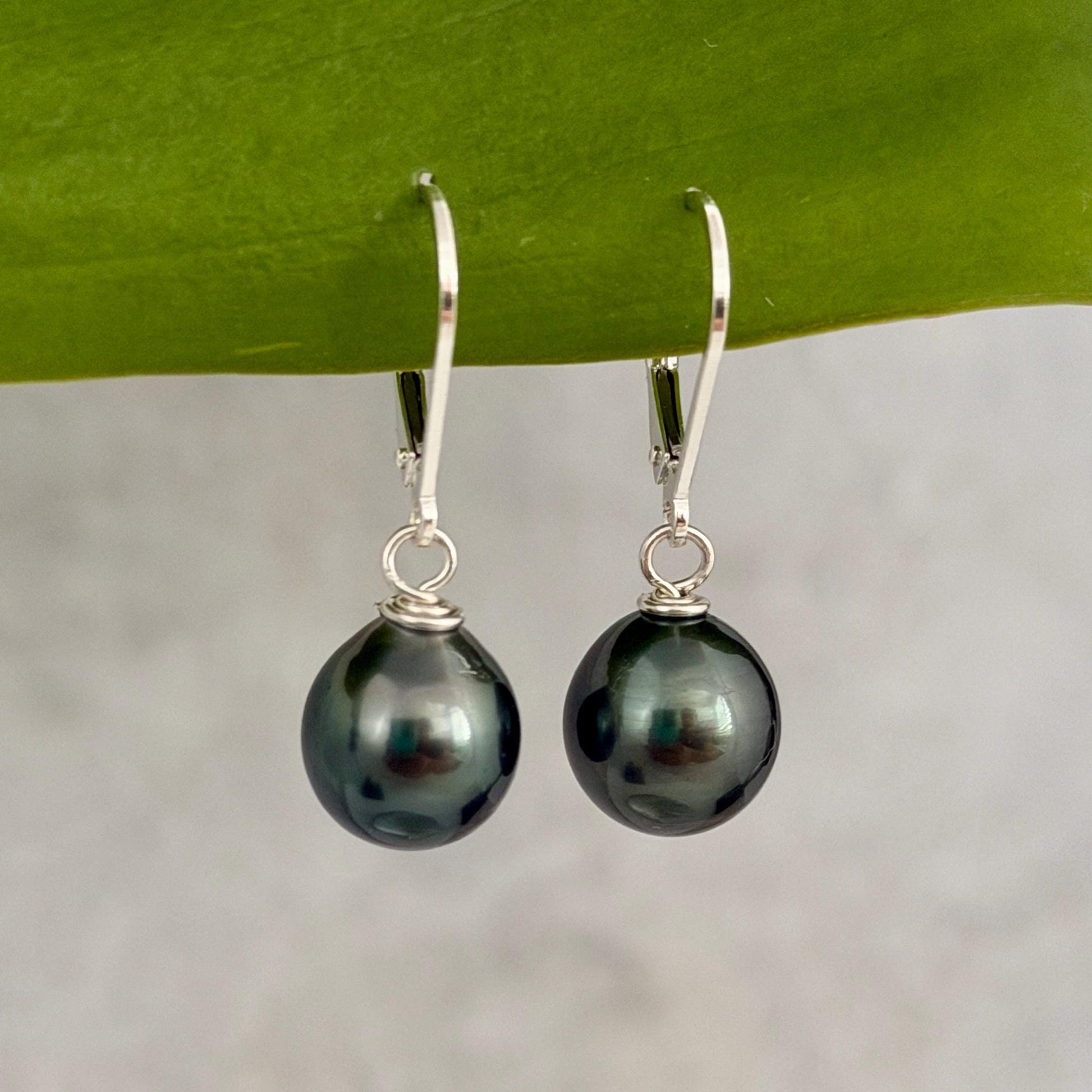 Tahitian Pearl Leverback Earrings • short drop earrings • dark Blue