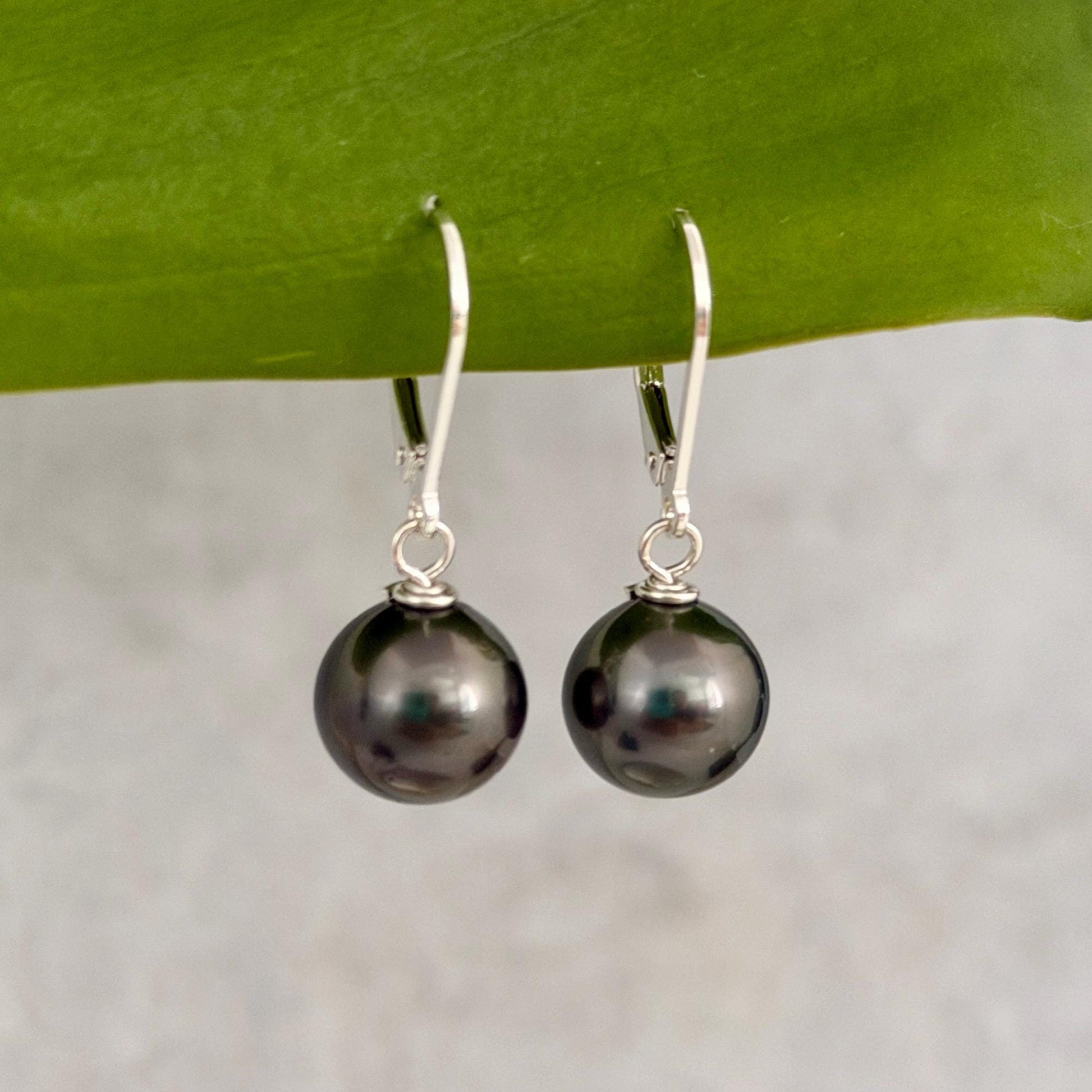 Tahitian Pearl Leverback Earrings • short drop earrings • dark pink