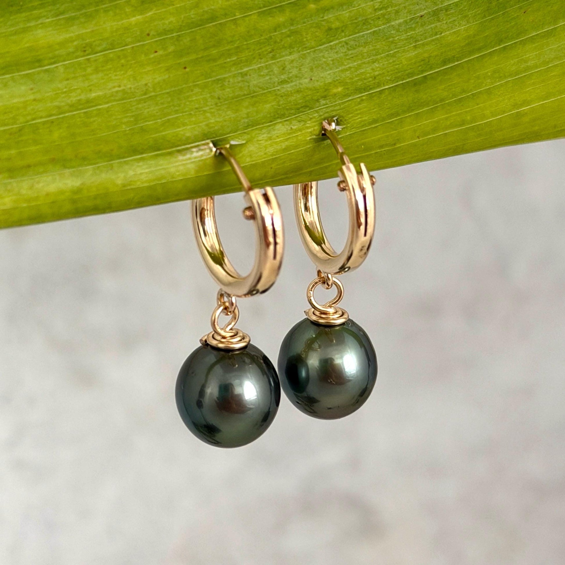 Tahitian pearl hoops • Huggies earrings • 14k gold filled jewelry