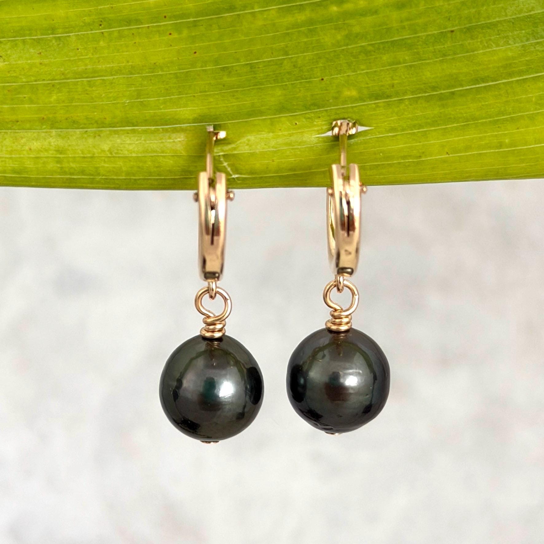 Tahitian pearl hoops • Huggies earrings • 14k gold filled jewelry