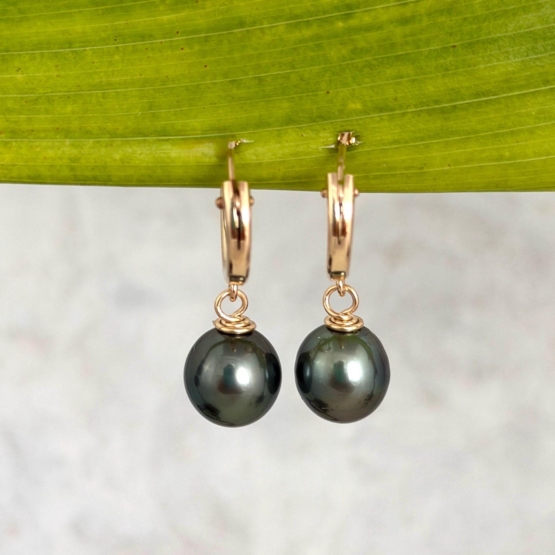 Tahitian pearl hoops • Huggies earrings • 14k gold filled jewelry