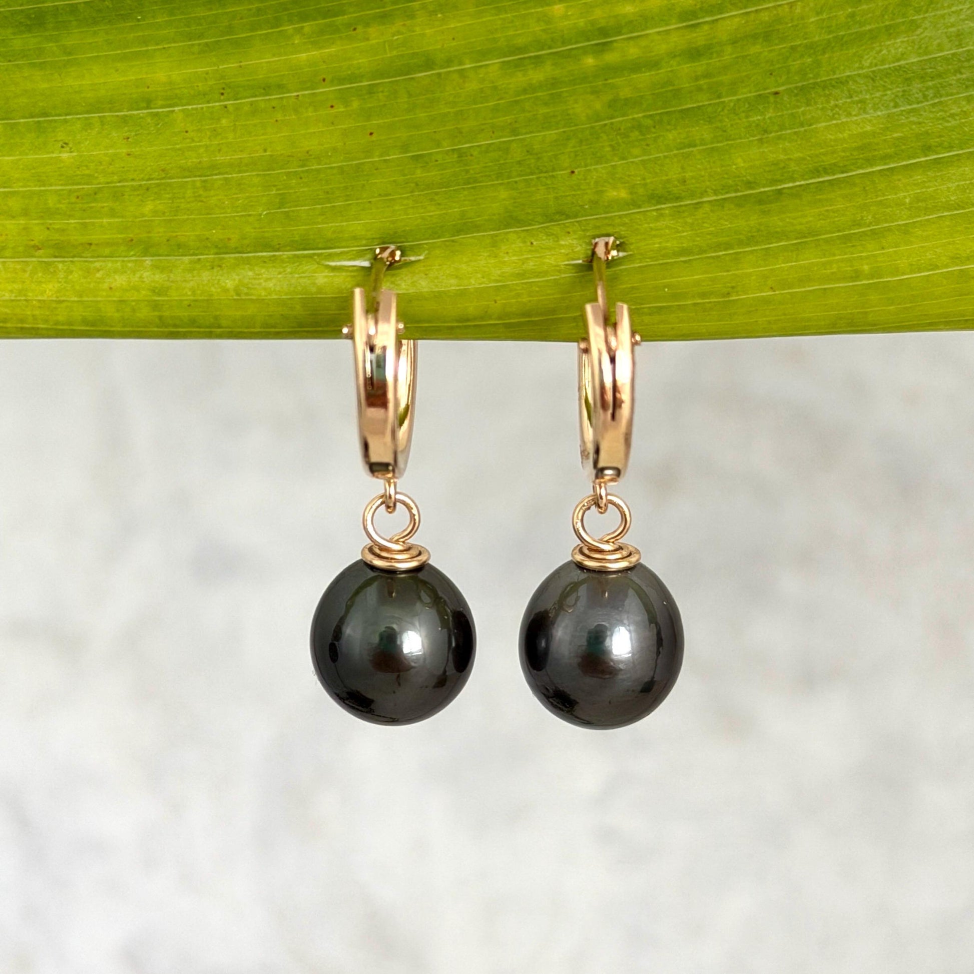 Tahitian pearl hoops • Huggies earrings • 14k gold filled jewelry