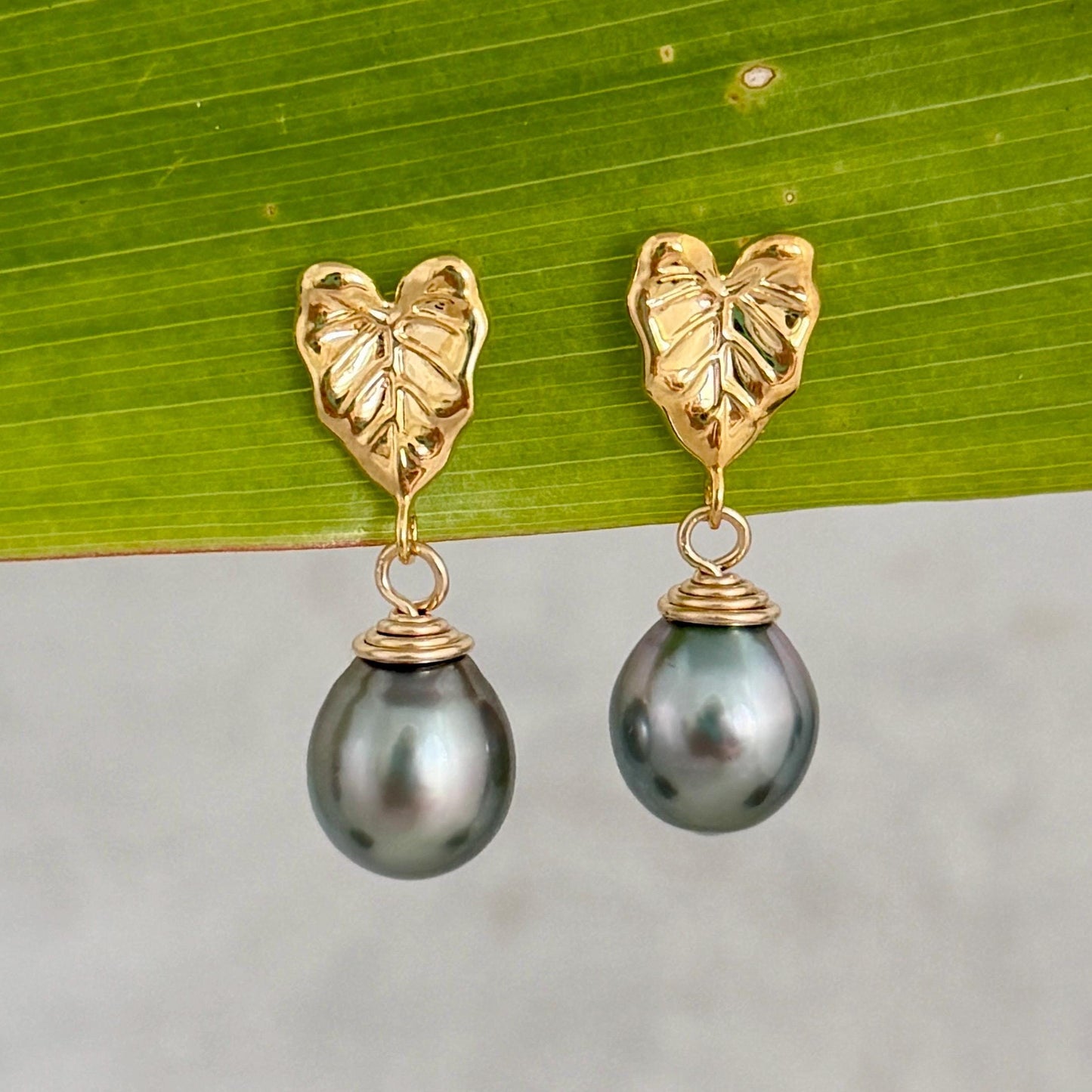 Tahitian pearl earrings • Kalo studs • Hawaiian design • Gold Taro leaf