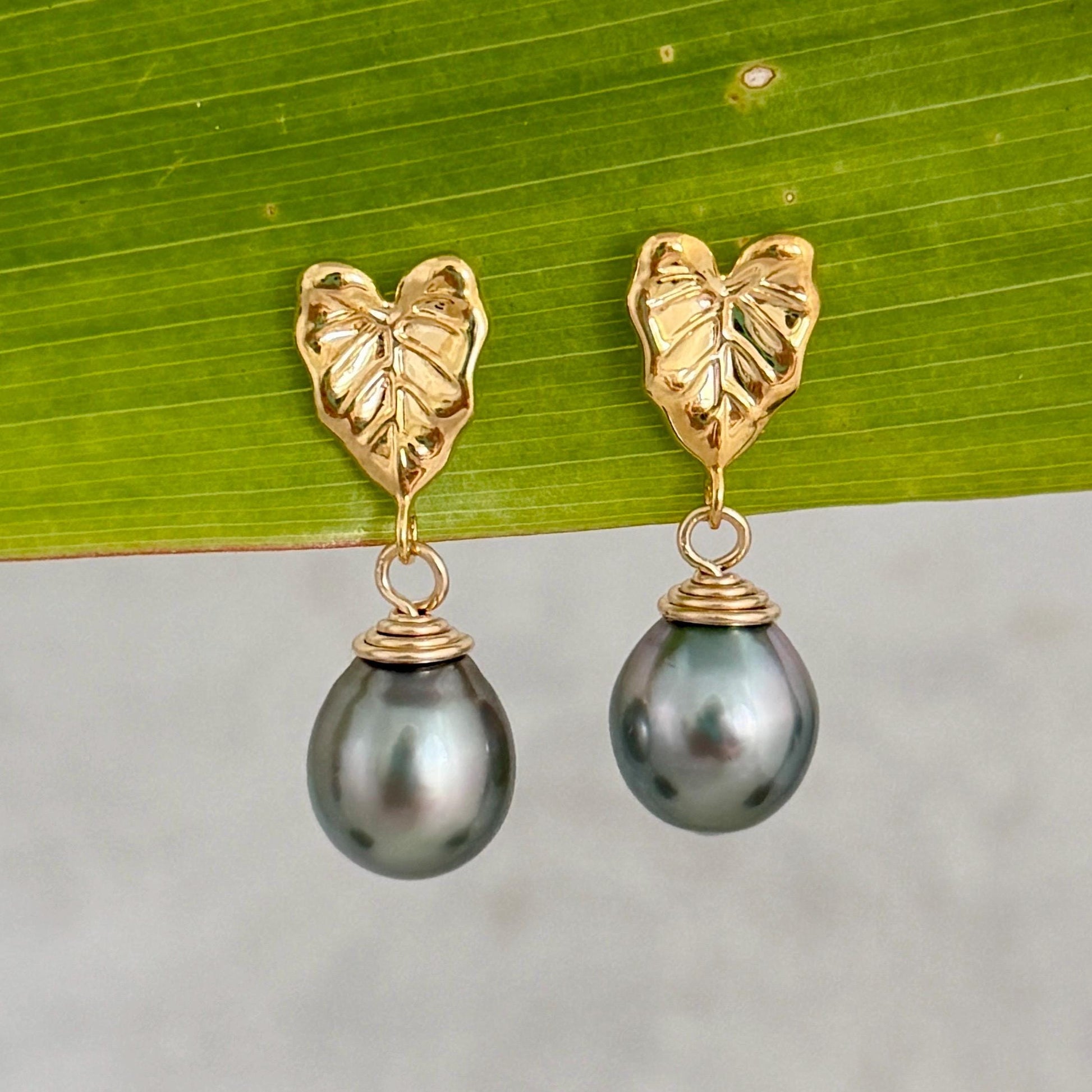Tahitian pearl earrings • Kalo studs • Hawaiian design • Gold Taro leaf