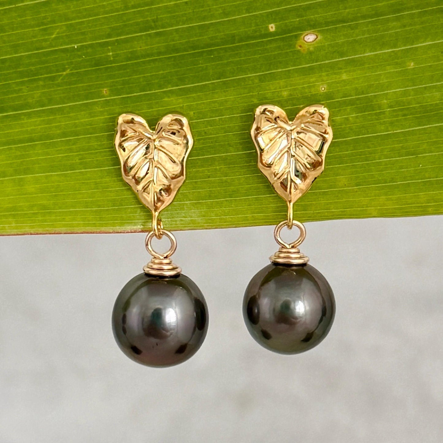 Tahitian pearl earrings • Kalo studs • Hawaiian design • Gold Taro leaf