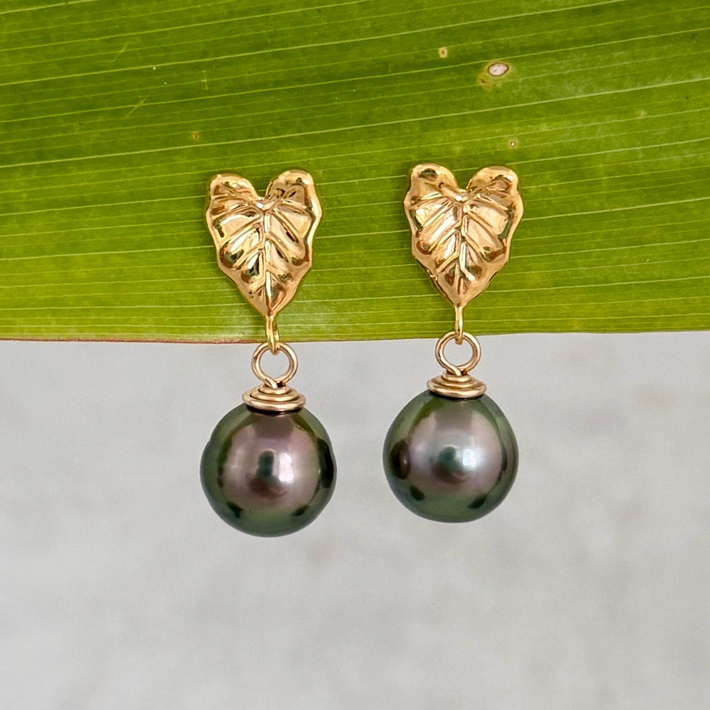 Tahitian pearl earrings • Kalo studs • Hawaiian design • Gold Taro leaf