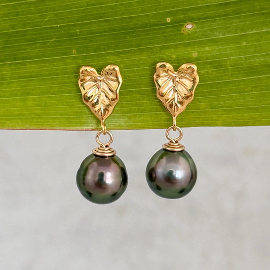 Tahitian pearl earrings • Kalo studs • Hawaiian design • Gold Taro leaf
