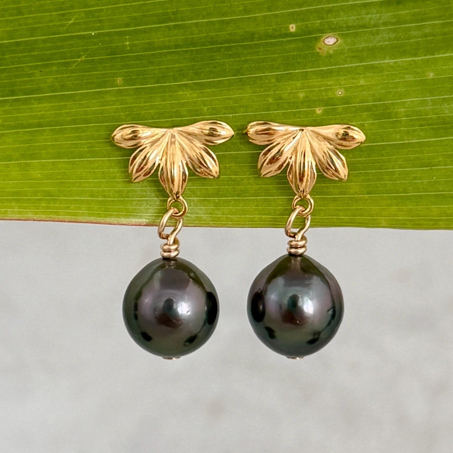 Gold naupaka flower stud earrings with tahitian black pearl