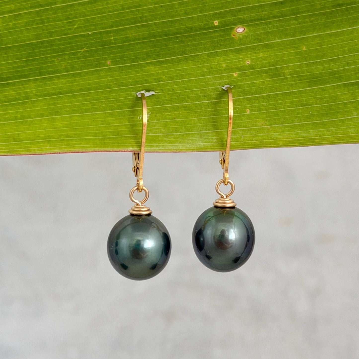 Tahitian Pearl Leverback Earrings • Gold filled dangle jewelry
