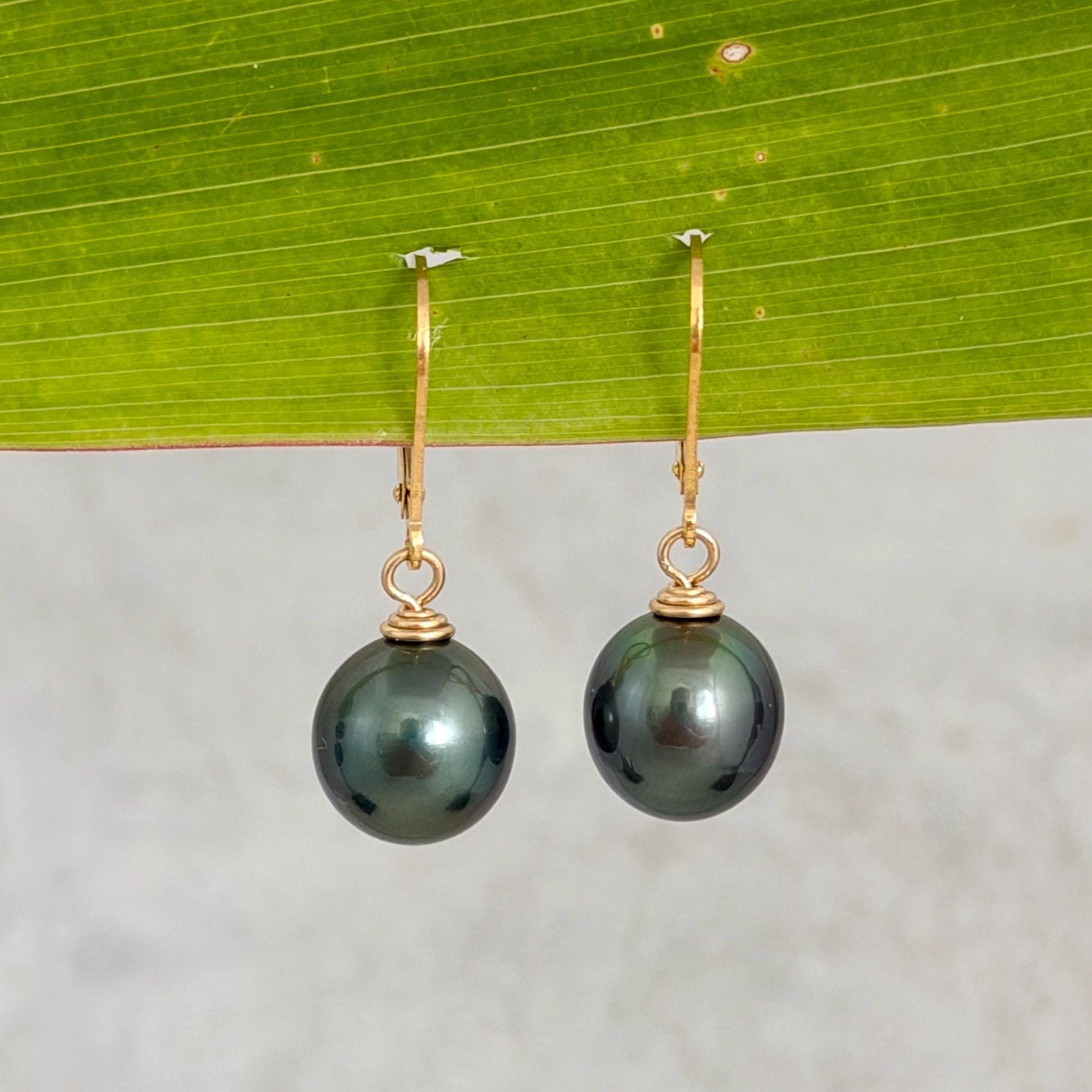 Tahitian Pearl Leverback Earrings • Gold filled dangle jewelry