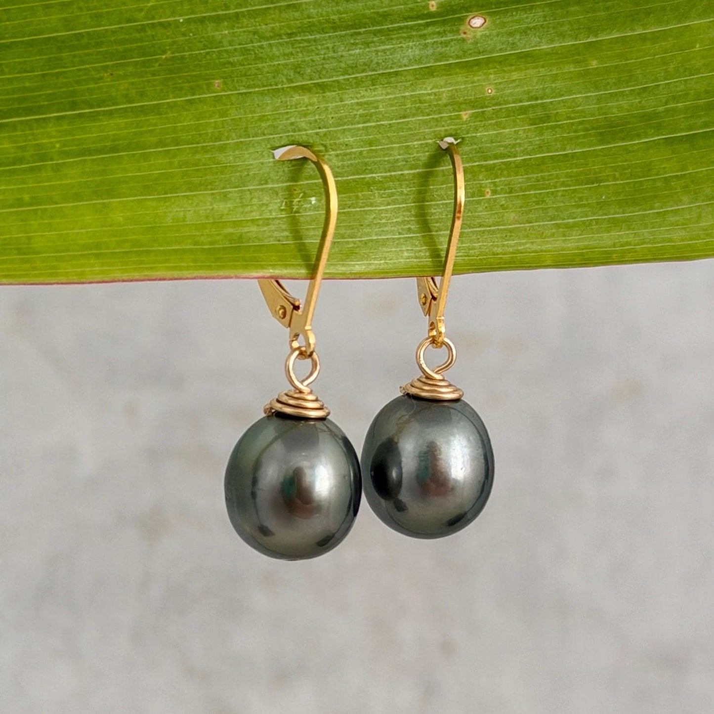Tahitian Pearl Leverback Earrings • Gold filled dangle jewelry
