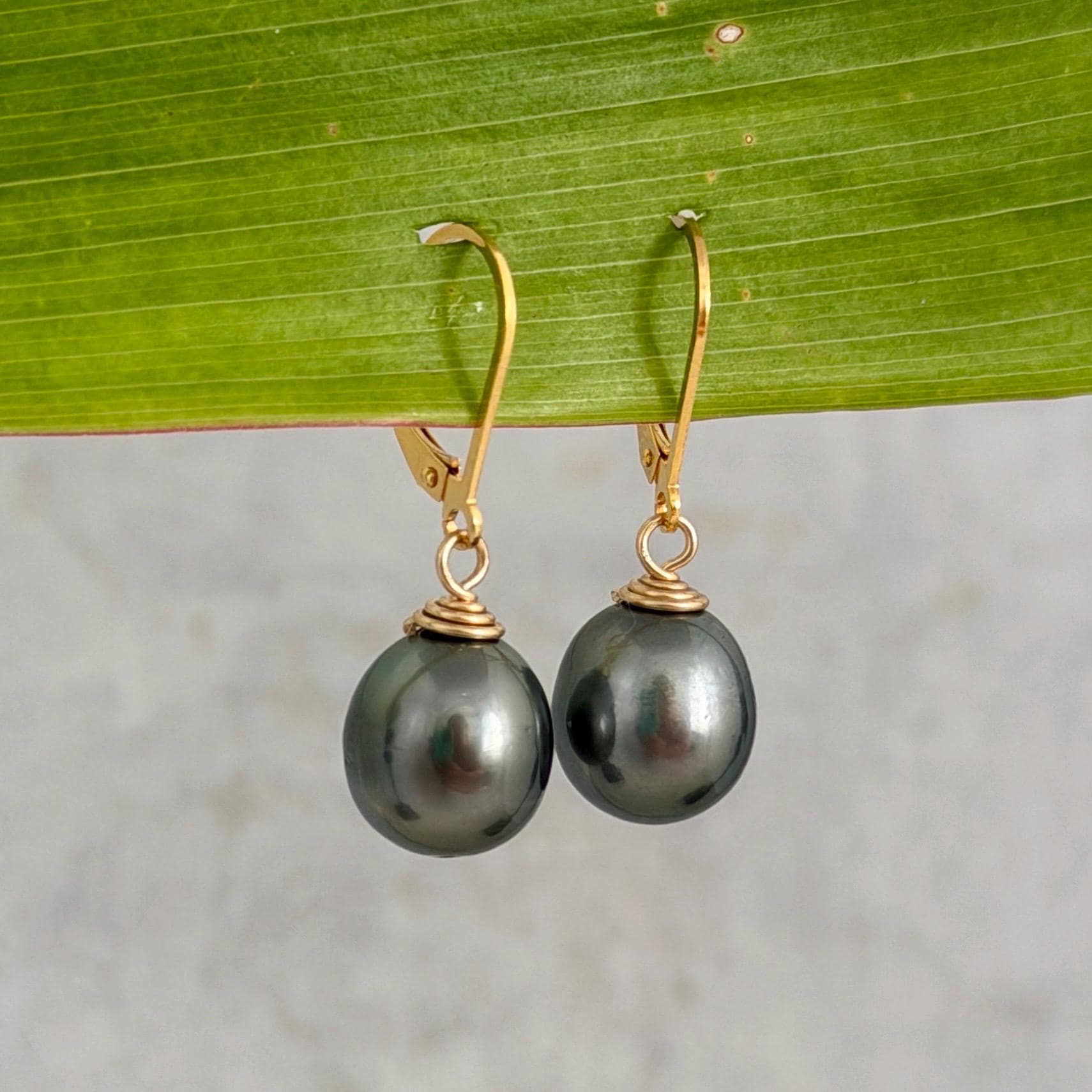 Tahitian Pearl Leverback Earrings • Gold filled dangle jewelry