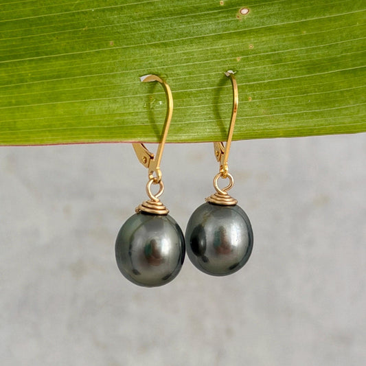 Tahitian Pearl Leverback Earrings • Gold filled dangle jewelry