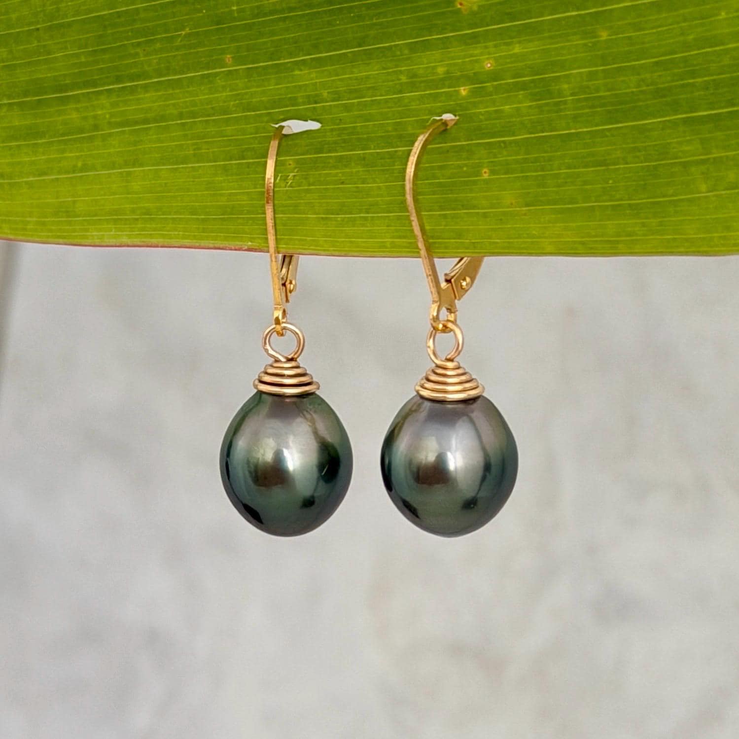 tahitian black pearl leverback in gold filled with peacock green color