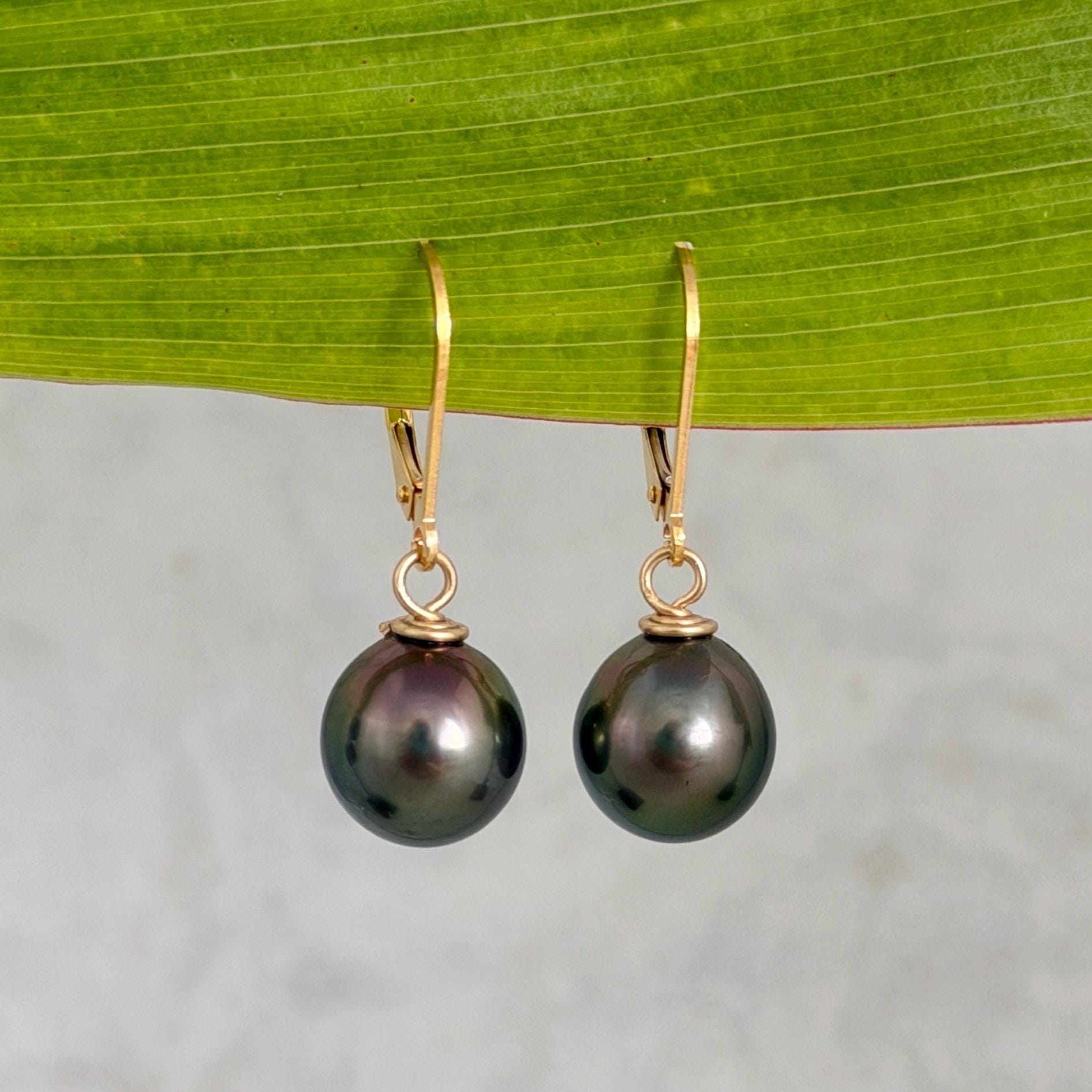 Tahitian Pearl Leverback Earrings • Gold filled dangle jewelry • Peacock Pink and Green