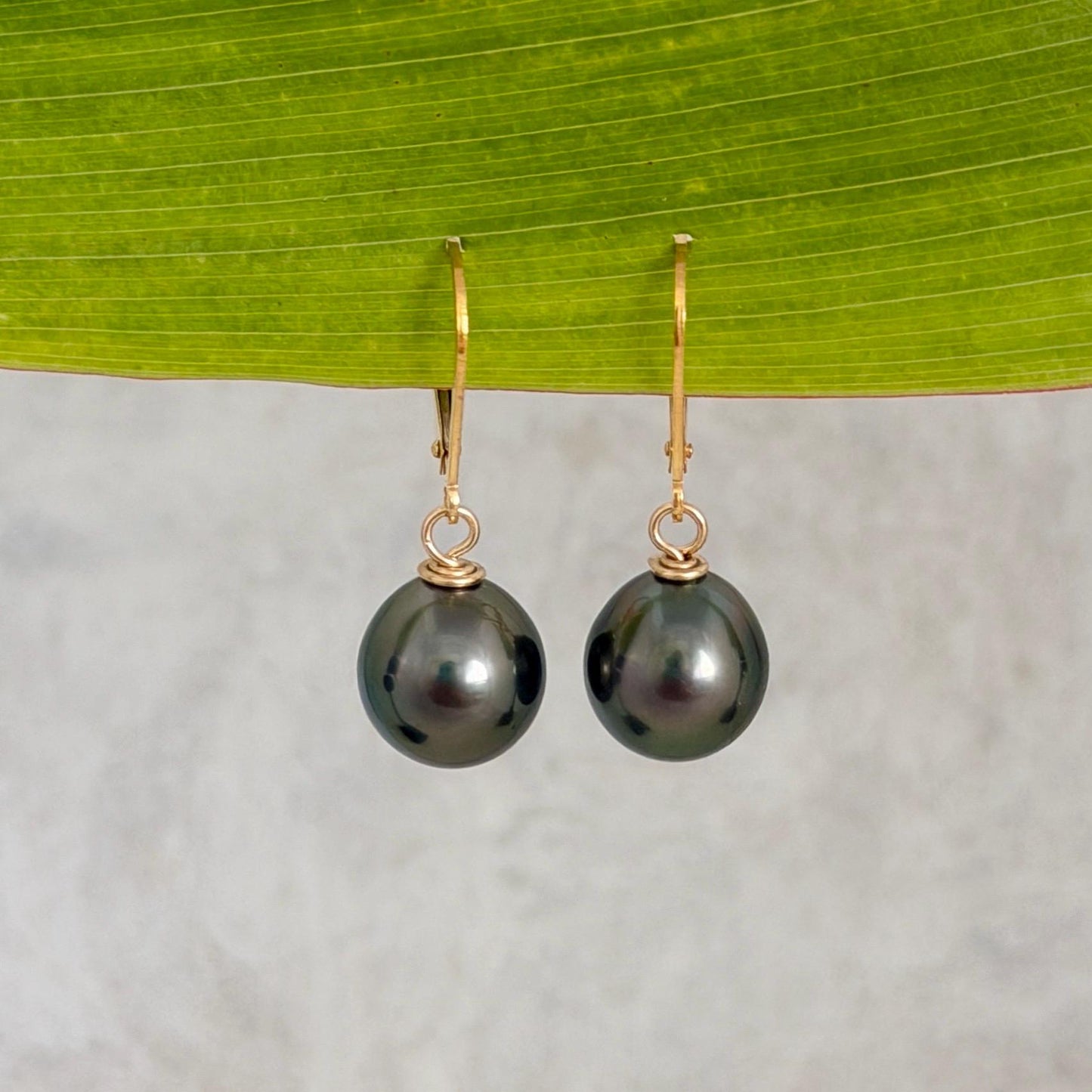 Tahitian Pearl Leverback Earrings • Gold filled dangle jewelry • Dark Green