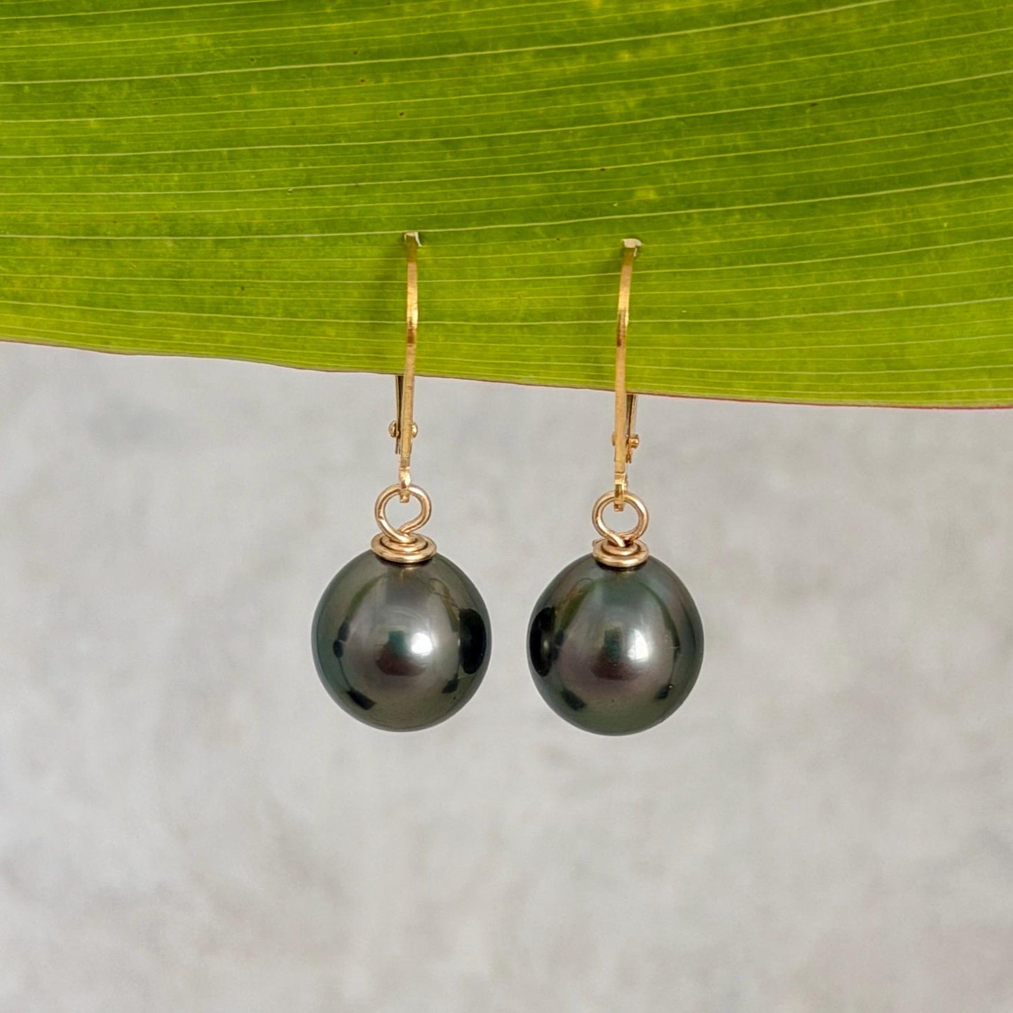 Tahitian Pearl Leverback Earrings • Gold filled dangle jewelry • Dark Green