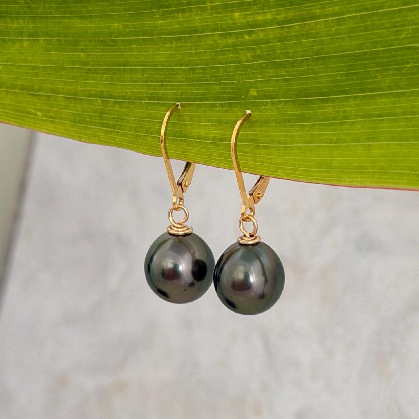 Tahitian black pearl leverback in yellow gold filled with peacock pink and green pearl