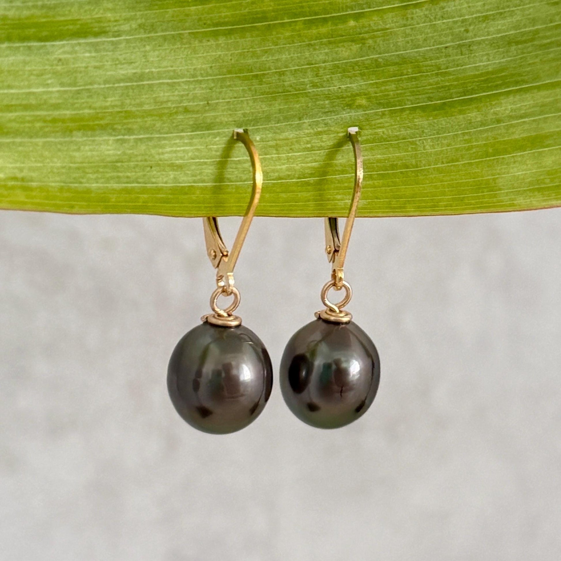 Tahitian Pearl Leverback Earrings • Gold filled dangle jewelry • Dark pink