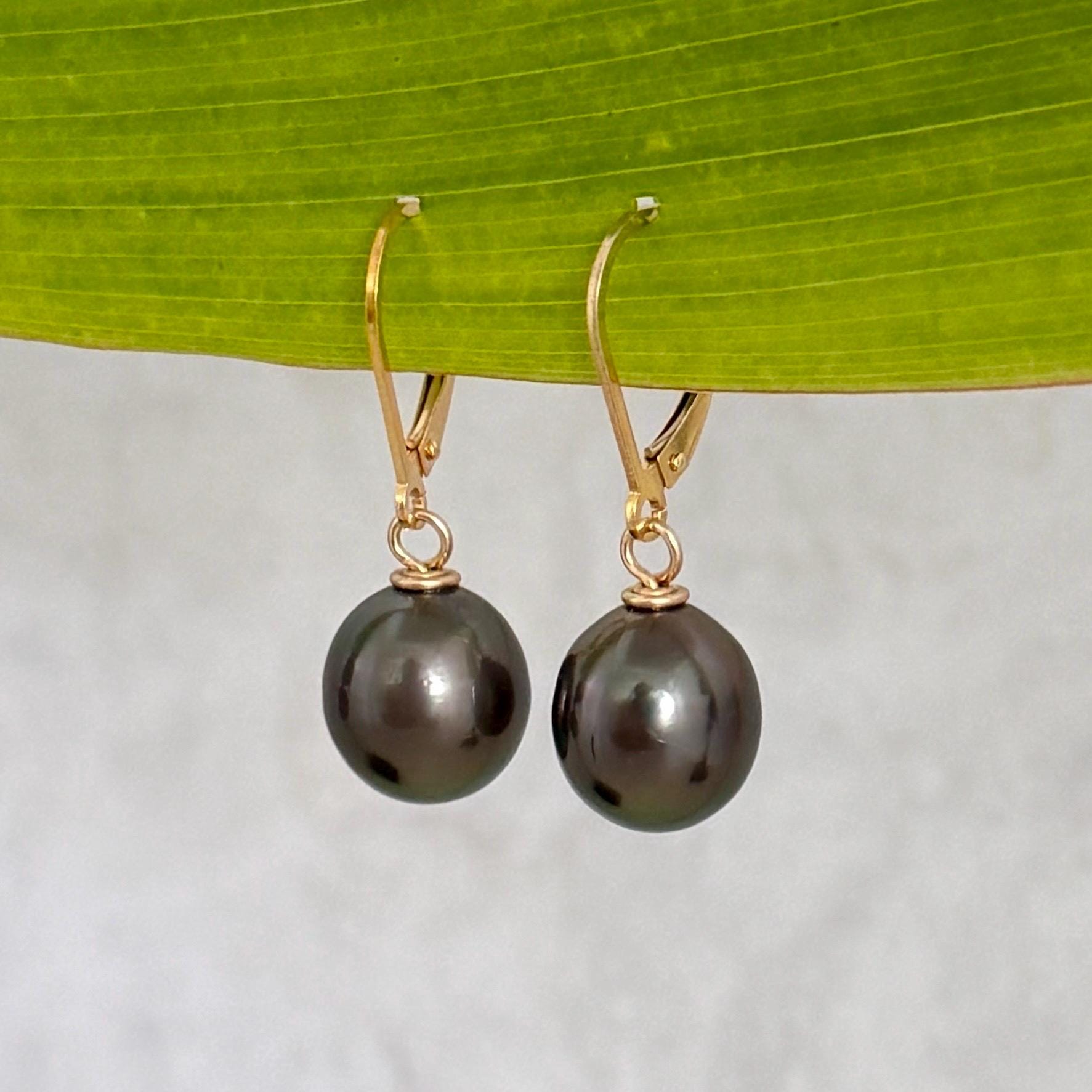 Tahitian black pearl leverback in yellow gold filled with dark pink color