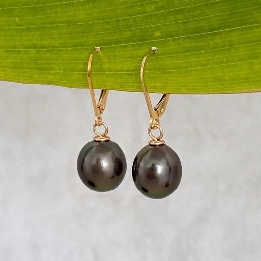 Tahitian black pearl leverback in yellow gold filled with dark pink color
