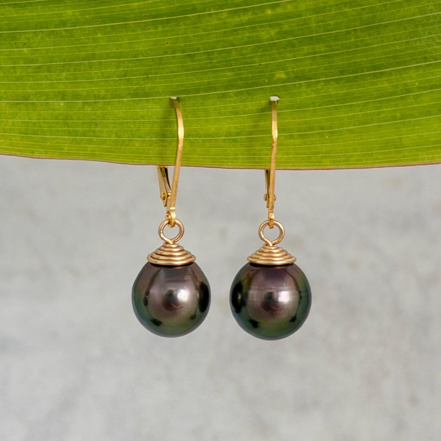 Tahitian Pearl Leverback Earrings • Gold filled dangle jewelry • Peacock Pink and Green