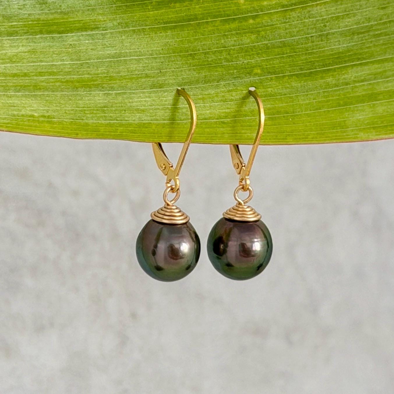 Tahitian Pearl Leverback Earrings • Gold filled dangle jewelry • Peacock Pink and Green