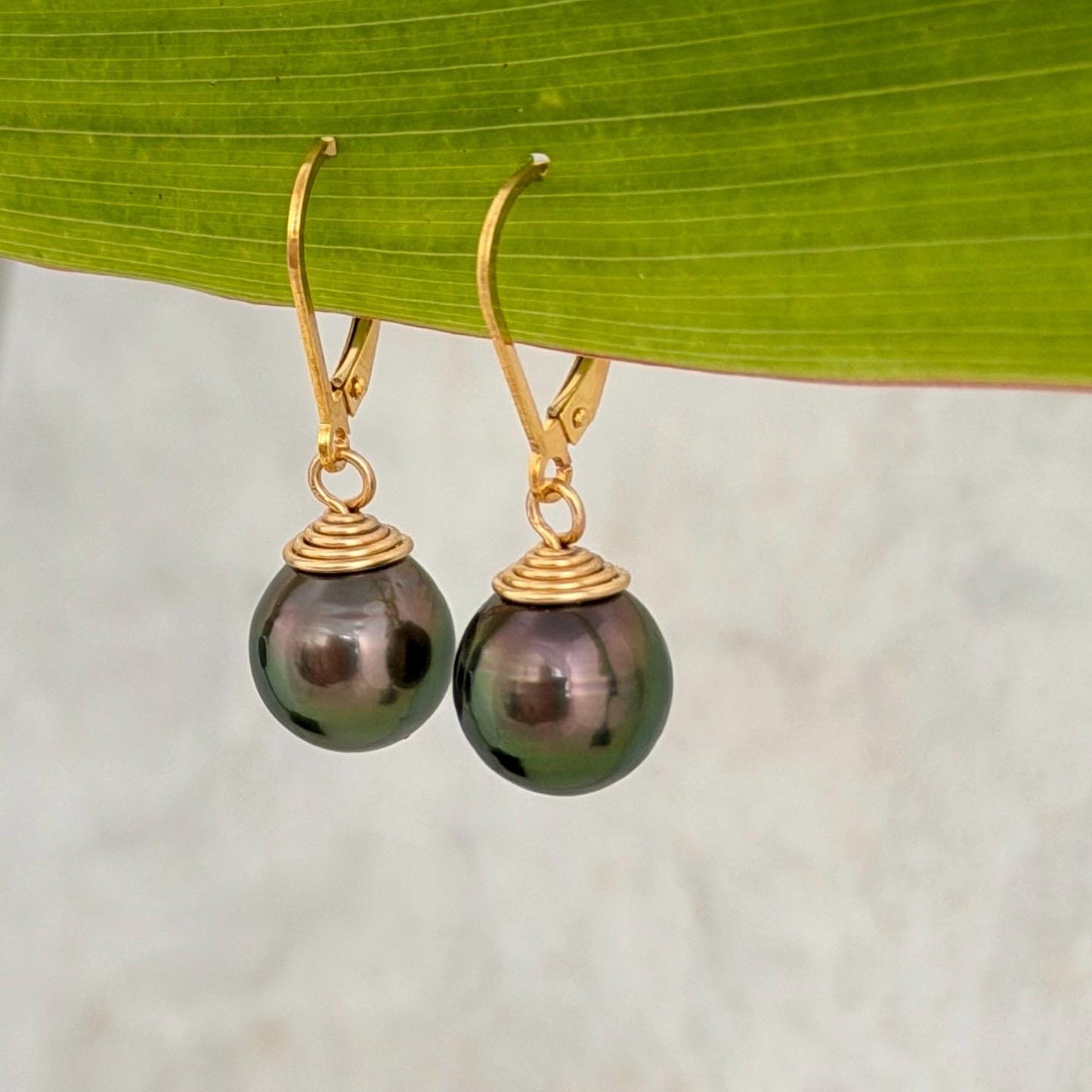 Tahitian Pearl Leverback Earrings • Gold filled dangle jewelry • Peacock Pink and Green