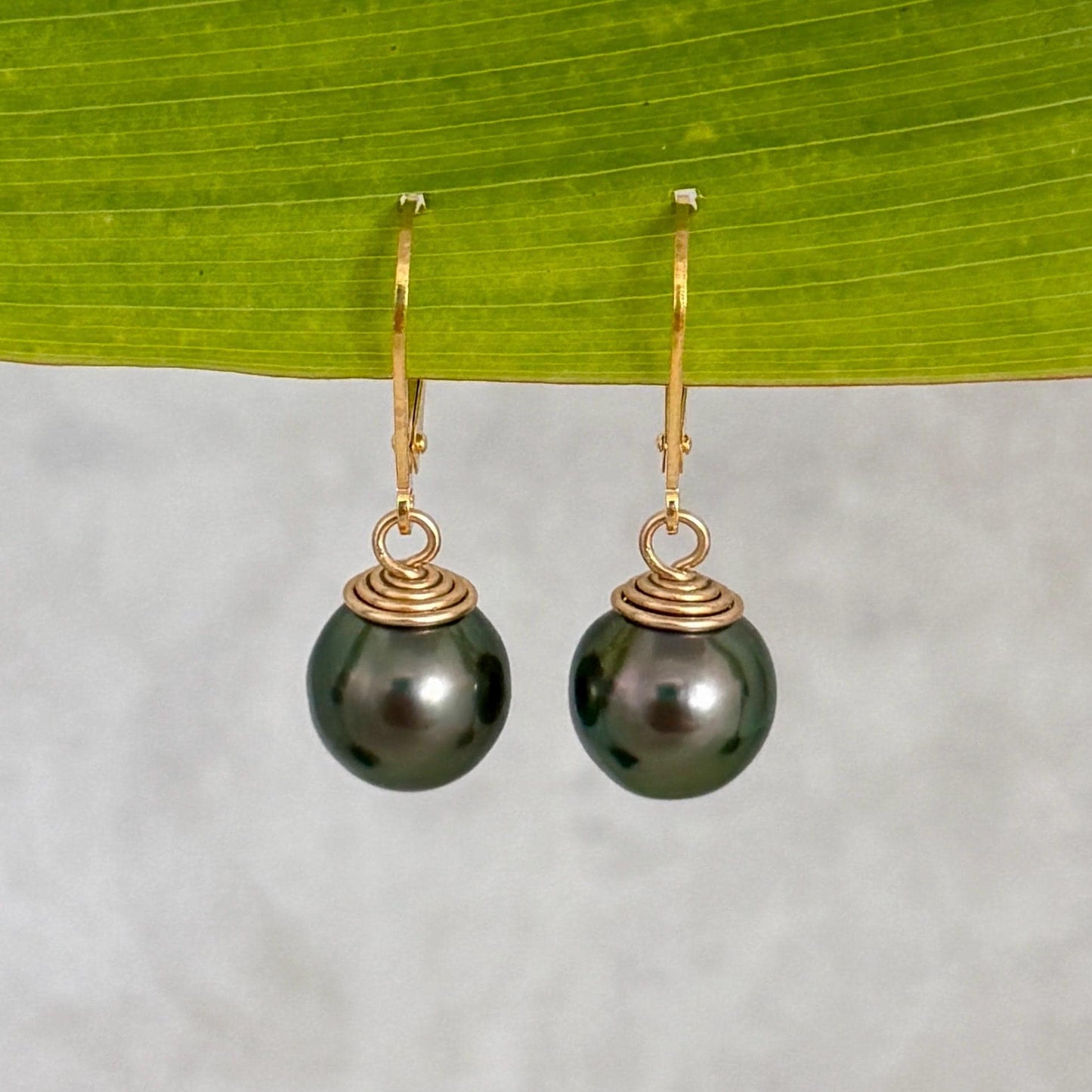 Tahitian Pearl Leverback Earrings • Gold filled dangle jewelry • Dark Green