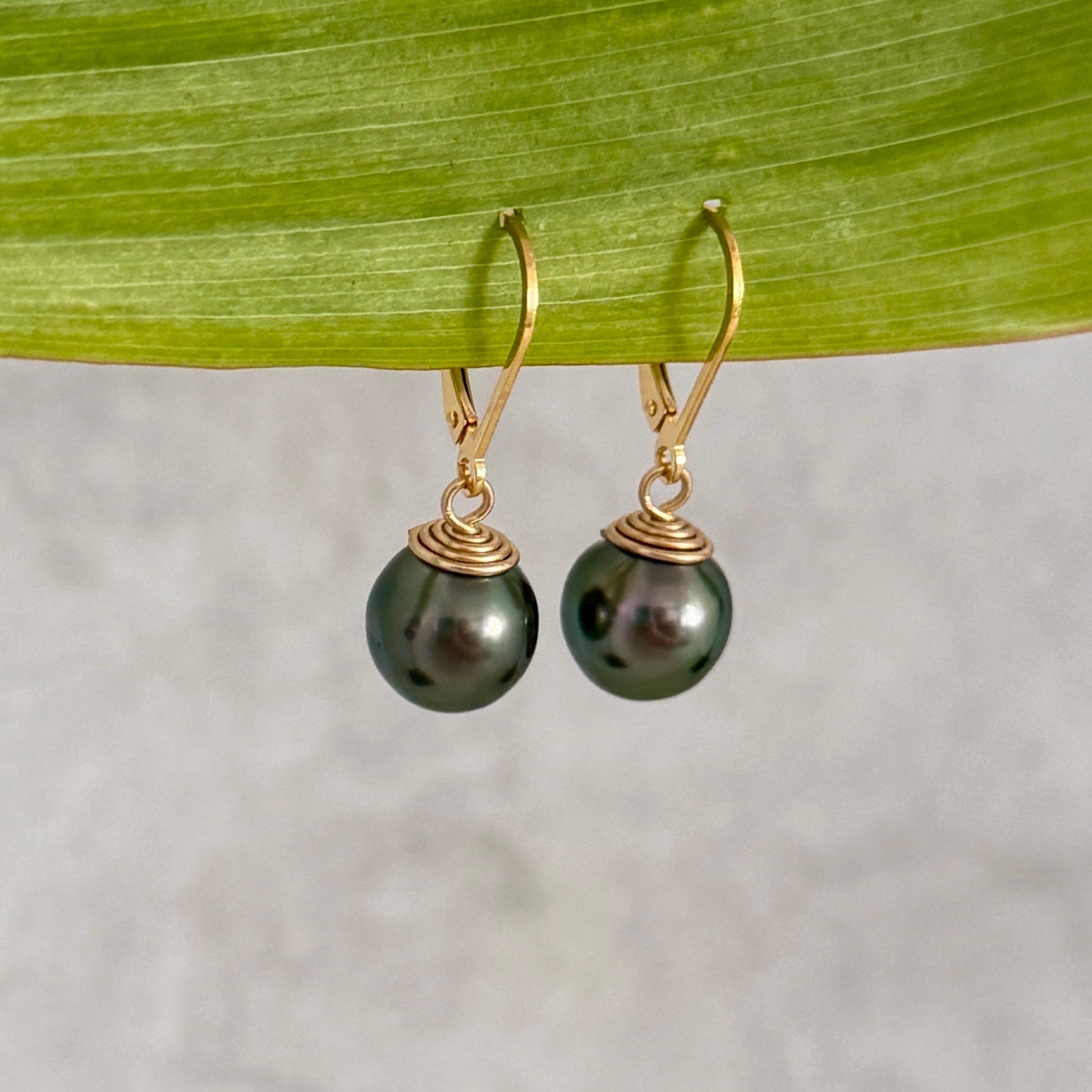 Tahitian Pearl Leverback Earrings • Gold filled dangle jewelry • Dark Green