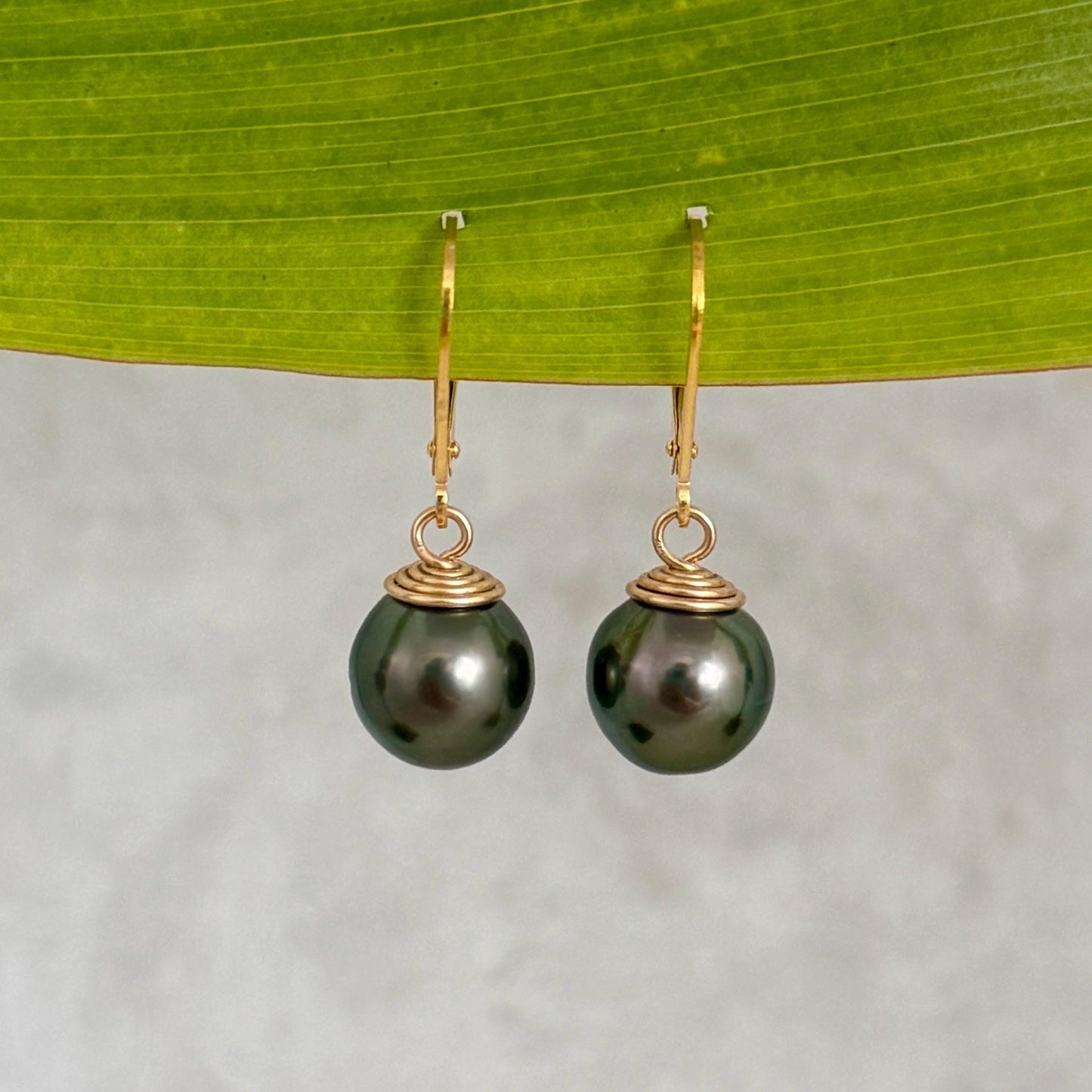 Tahitian Pearl Leverback Earrings • Gold filled dangle jewelry • Dark Green