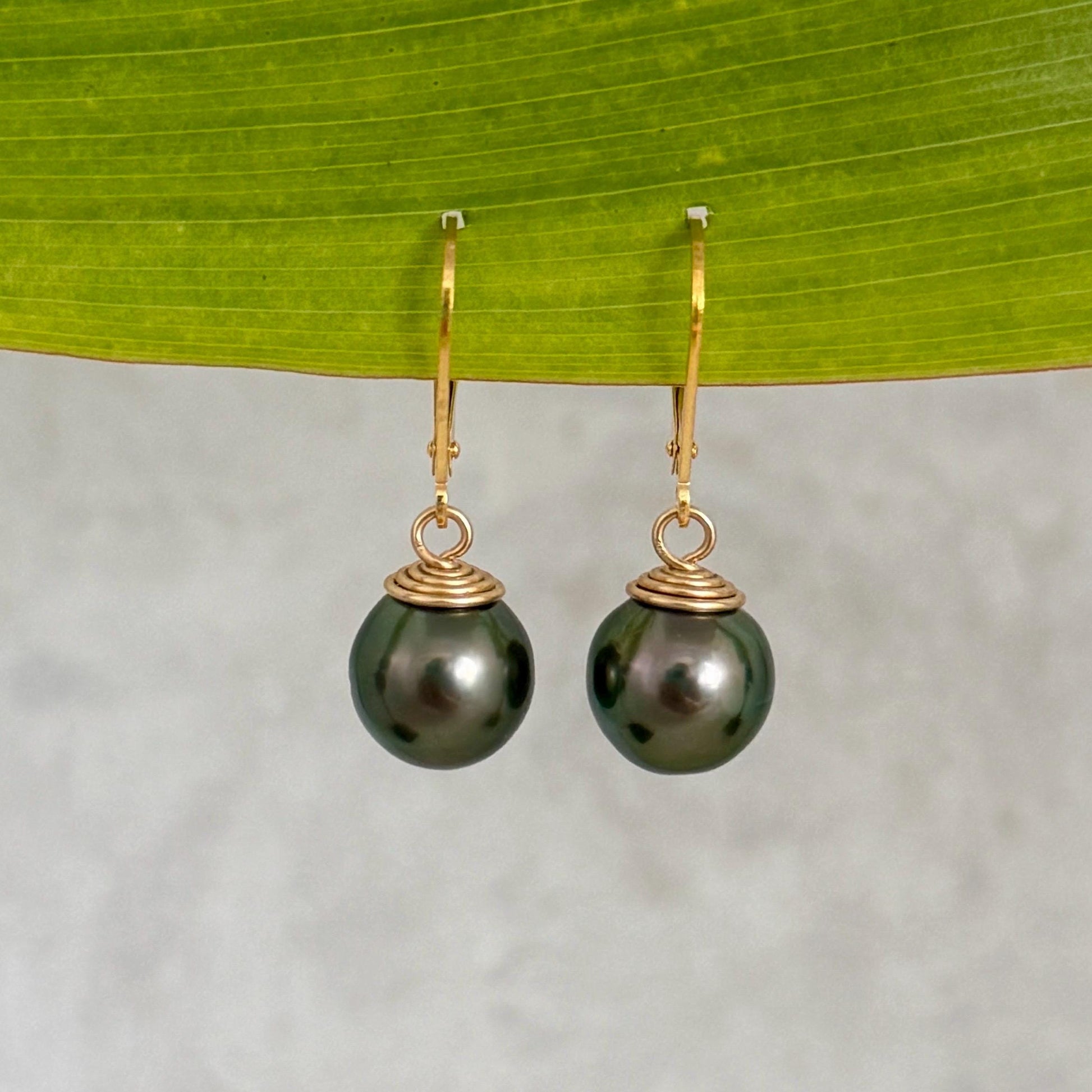Tahitian Pearl Leverback Earrings • Gold filled dangle jewelry • Dark Green