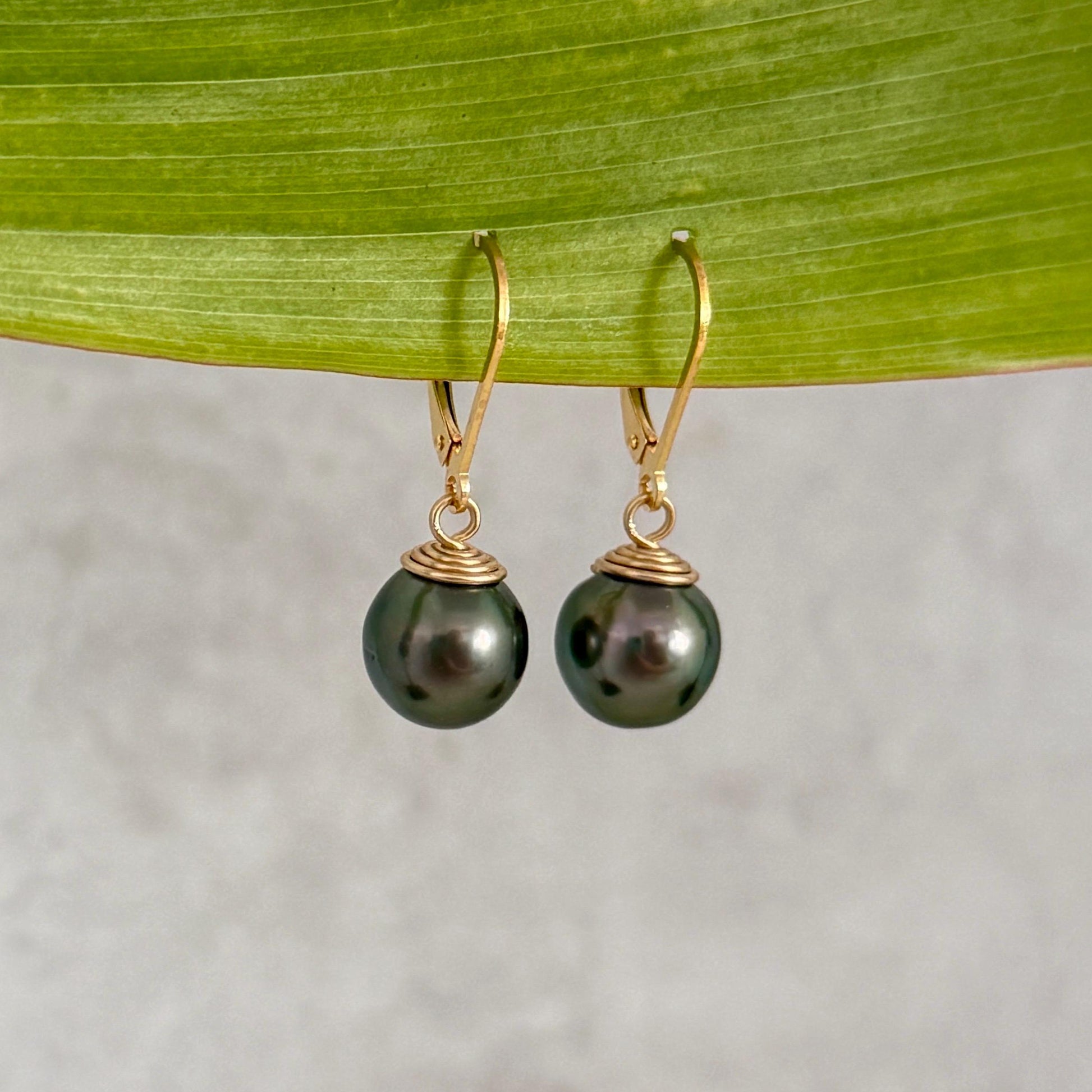Tahitian Pearl Leverback Earrings • Gold filled dangle jewelry • Dark Green