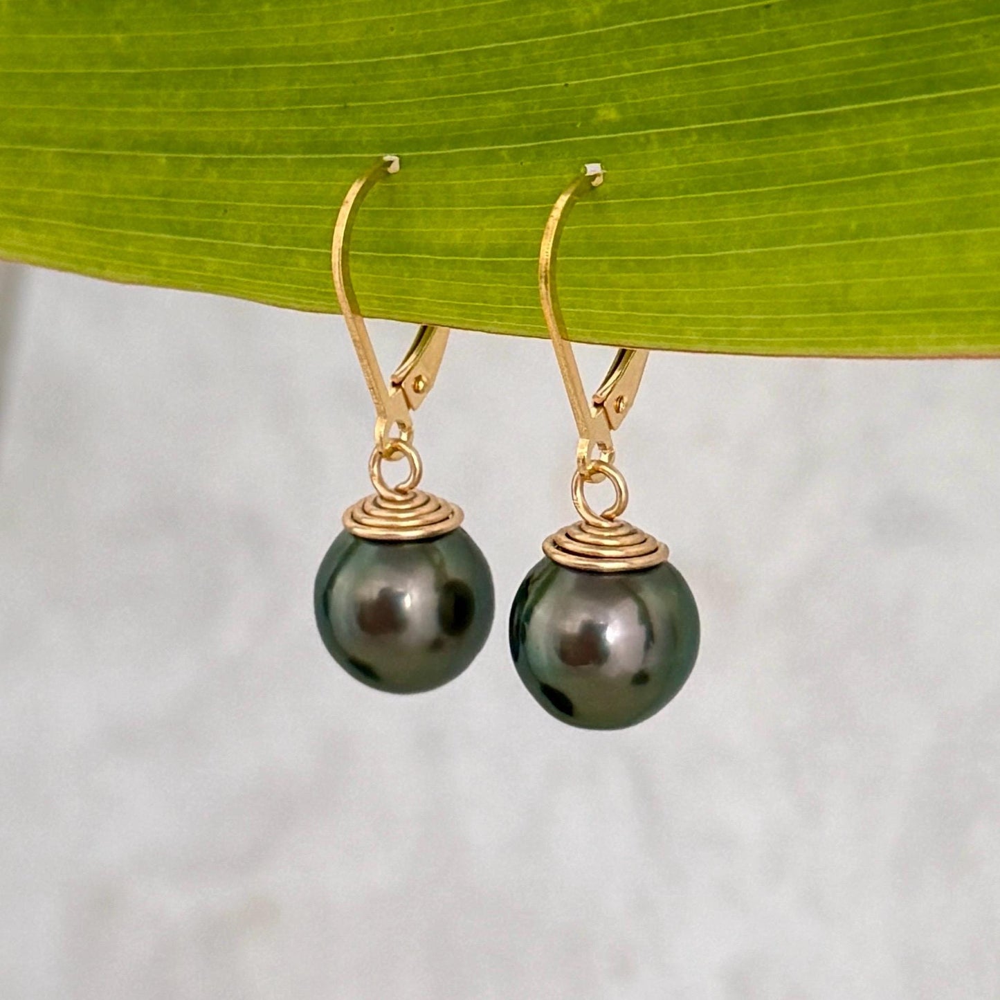 Tahitian Pearl Leverback Earrings • Gold filled dangle jewelry • Dark Green